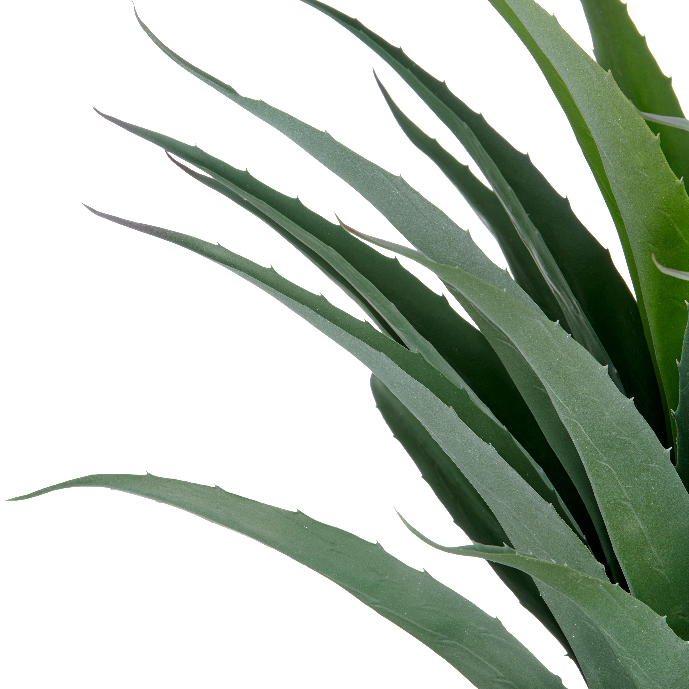 Creativ green Kunstpflanze »Agave« in UV-beständiger Ausführung