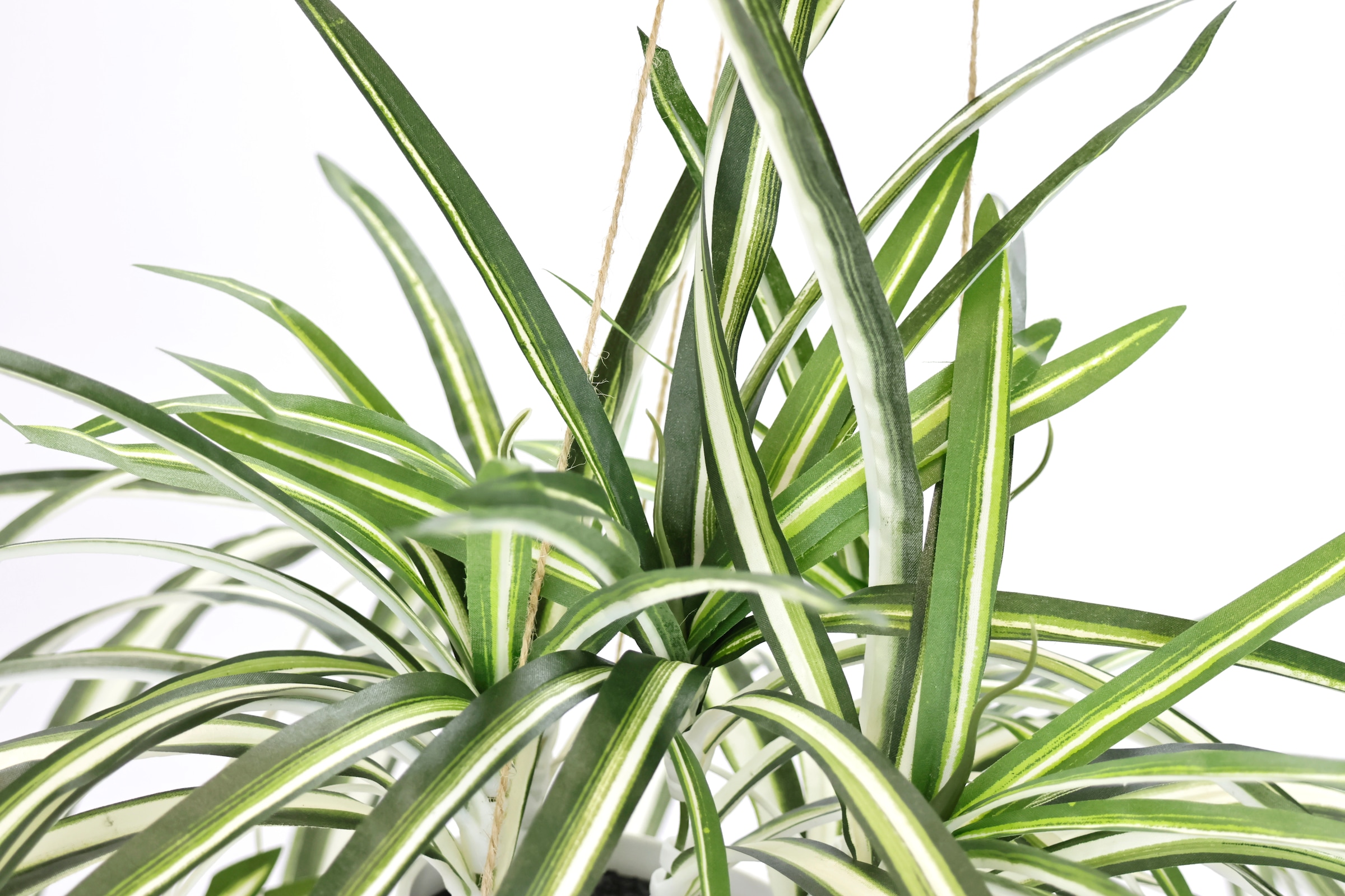 my home Kunstpflanze »Grünlilie«, Mit künstliche Hängeampe, Wasserlilie OTTO Shop Online im