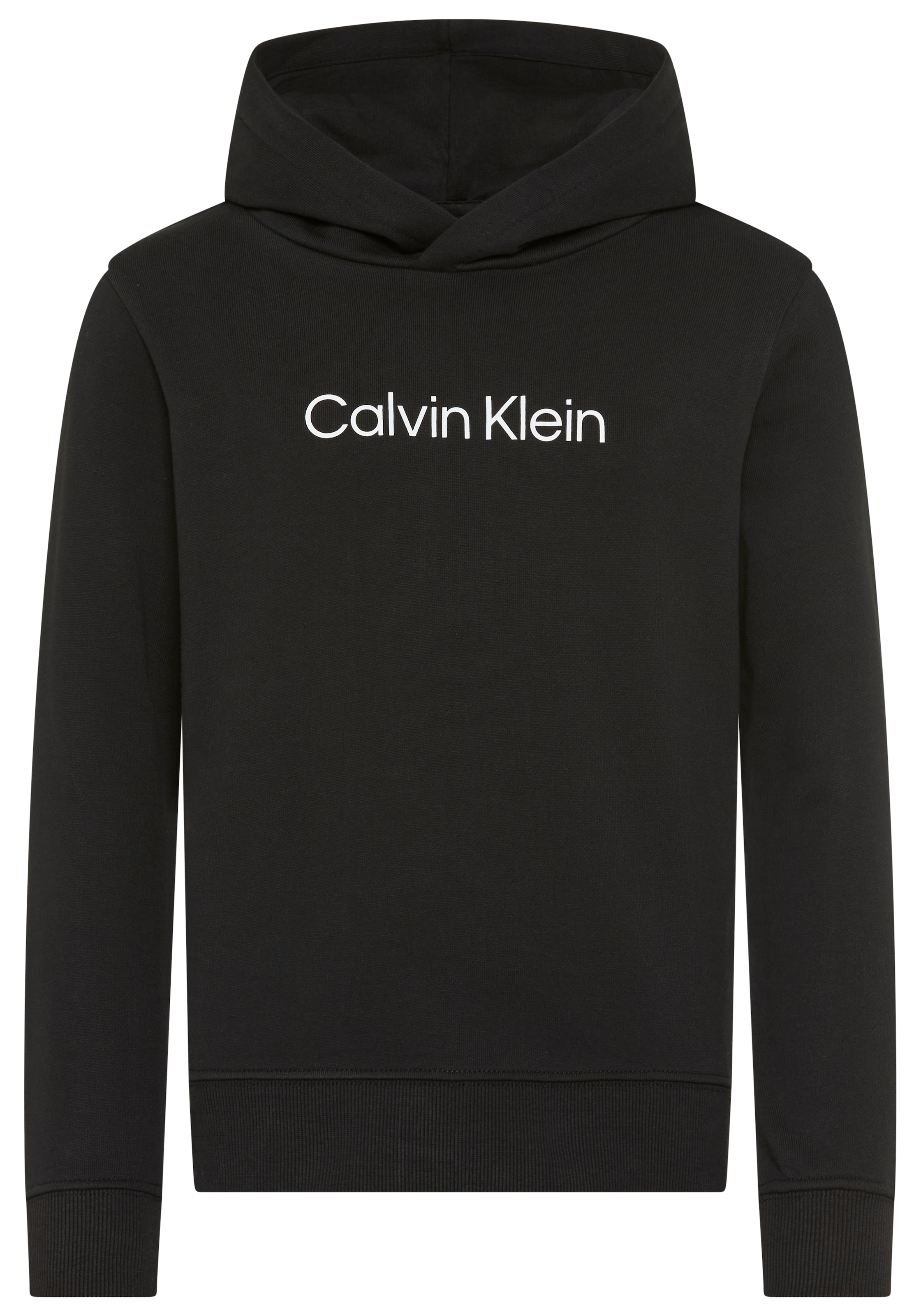 Calvin Klein Jeans Kapuzensweatshirt »LOGO REGULAR TERRY HOODIE«, Regular fit, Logoschriftzug
