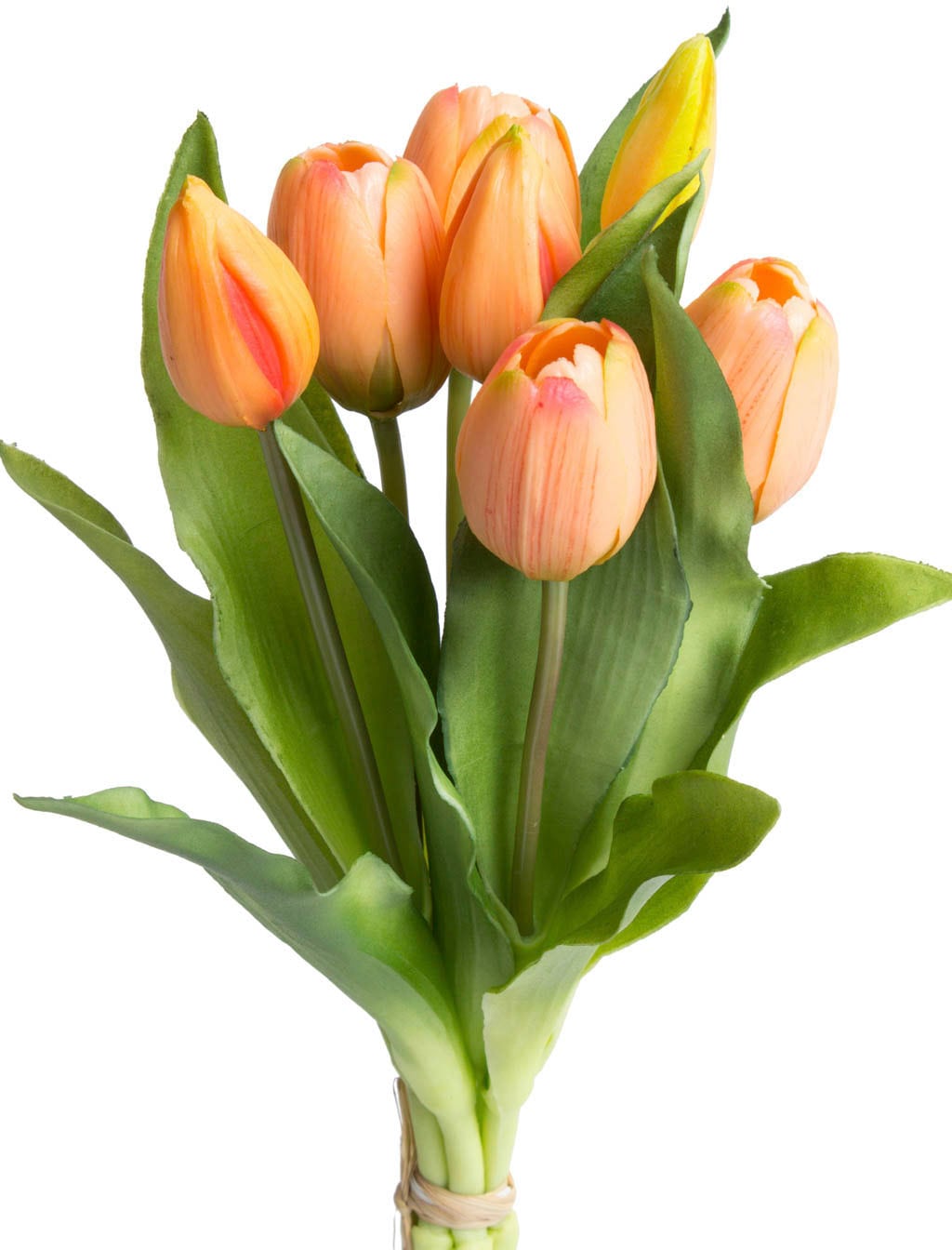 Botanic-Haus Kunstblume »Willa«, Shop im 7er-Set Online bestellen Tulpenbündel im OTTO