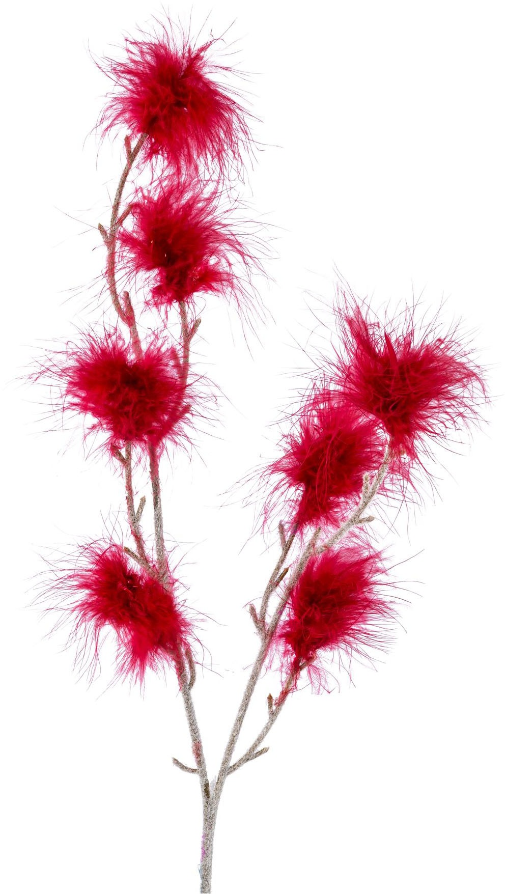 Creativ home Tischvase »Vase mit Federzweigen« für die moderne Einrichtung