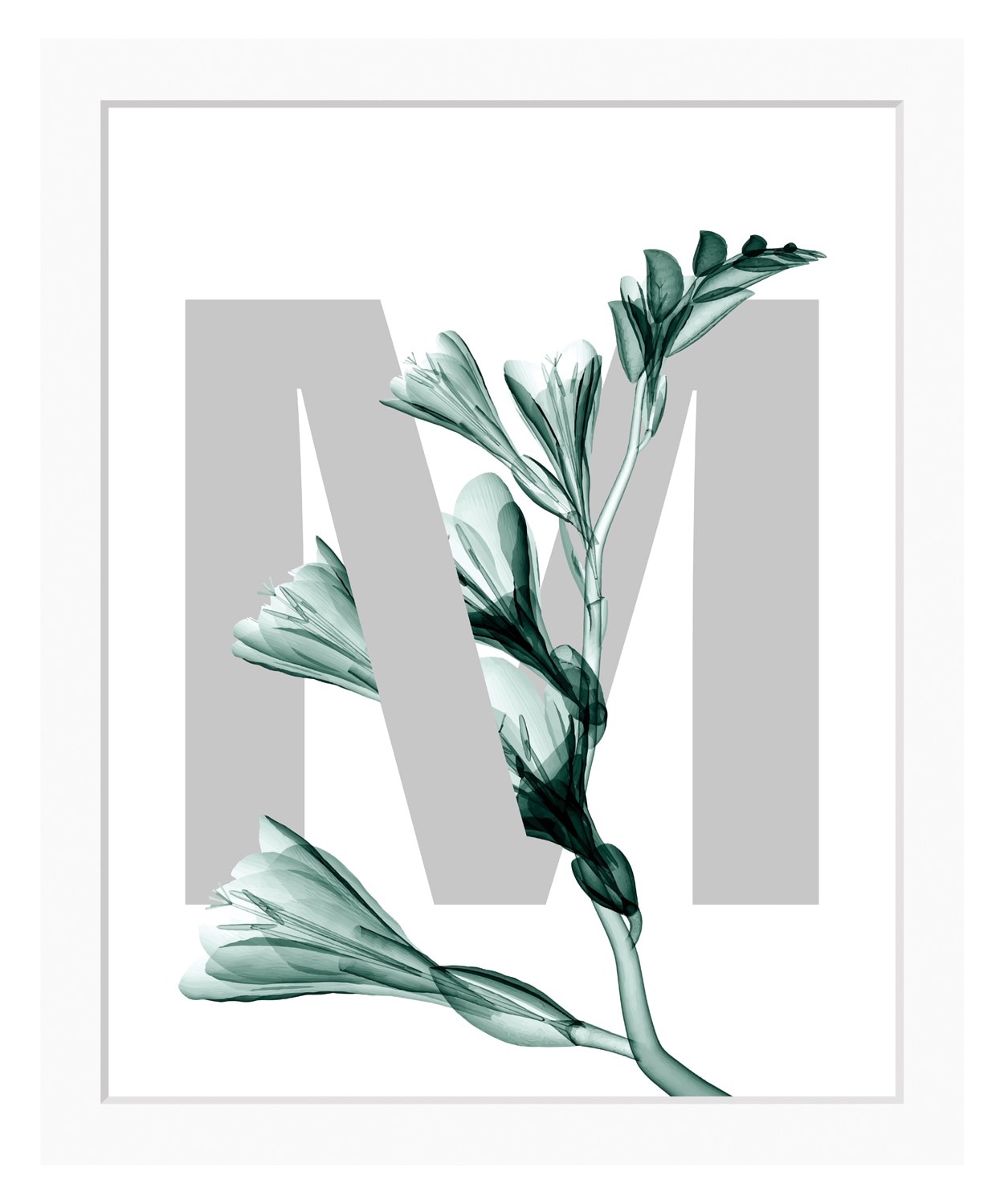 queence Bild »M-Flower« Buchstaben | Pflanzen | Pflanzenbilder