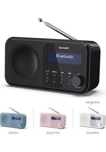 Radio »DR-P420«, (Bluetooth-A2DP Bluetooth-AVRCP Bluetooth Digitalradio...