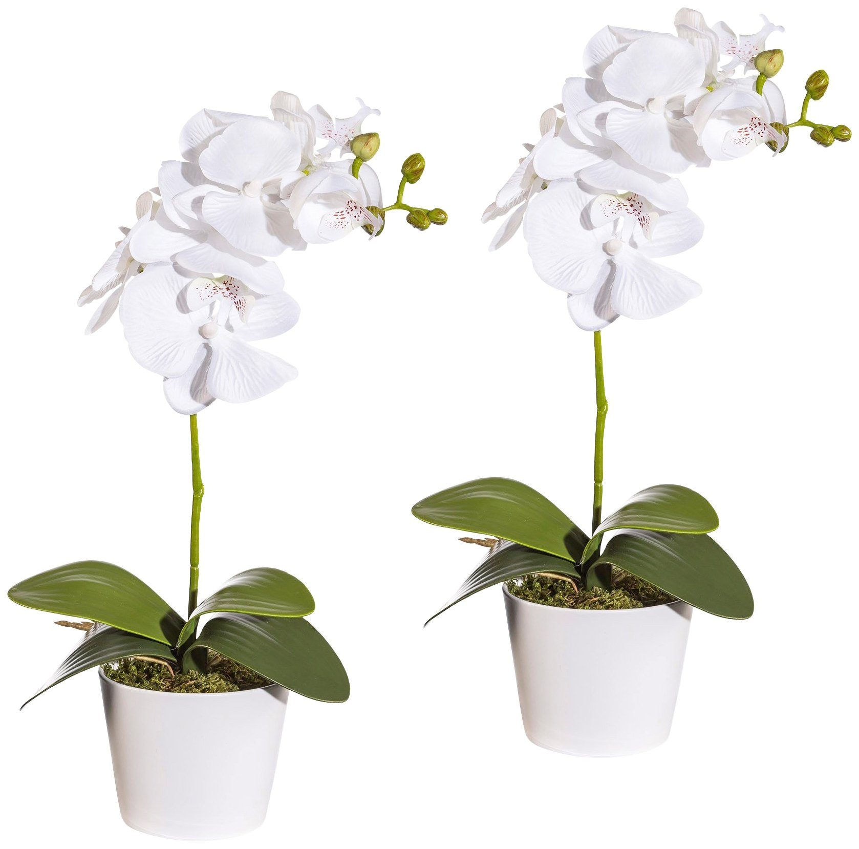Creativ green Kunstpflanze »Orchidee Phalaenopsis« im Keramiktopf