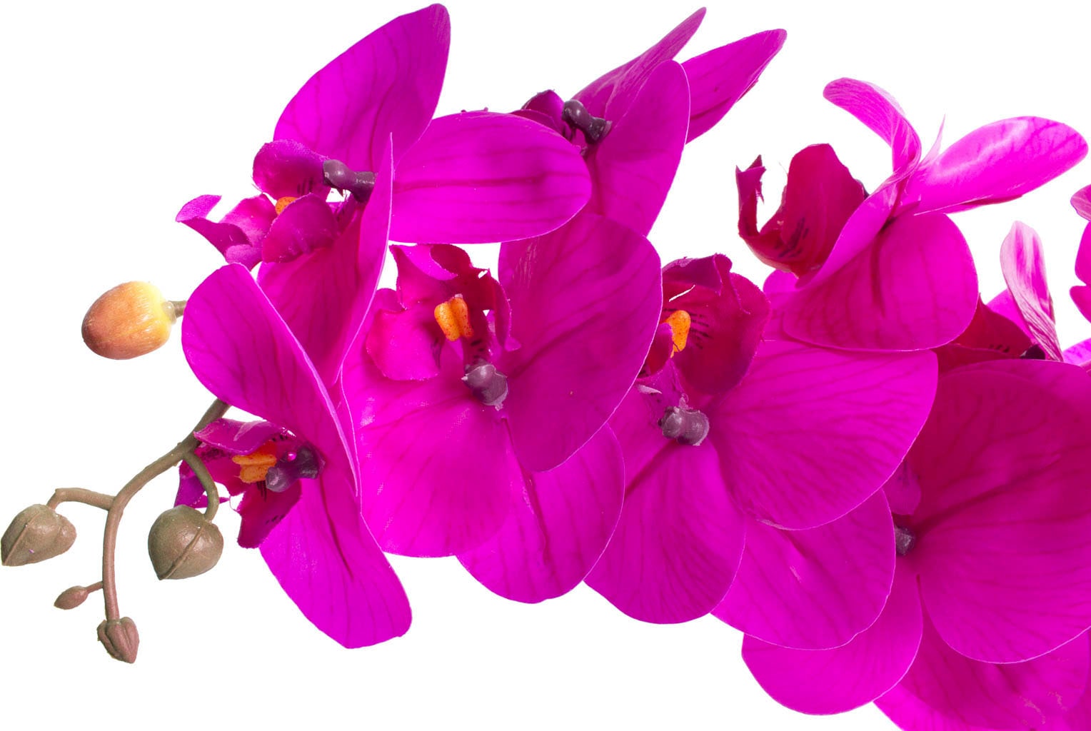 Botanic-Haus Kunstorchidee »Orchidee bei Bora«, bestellen OTTO St.) (1