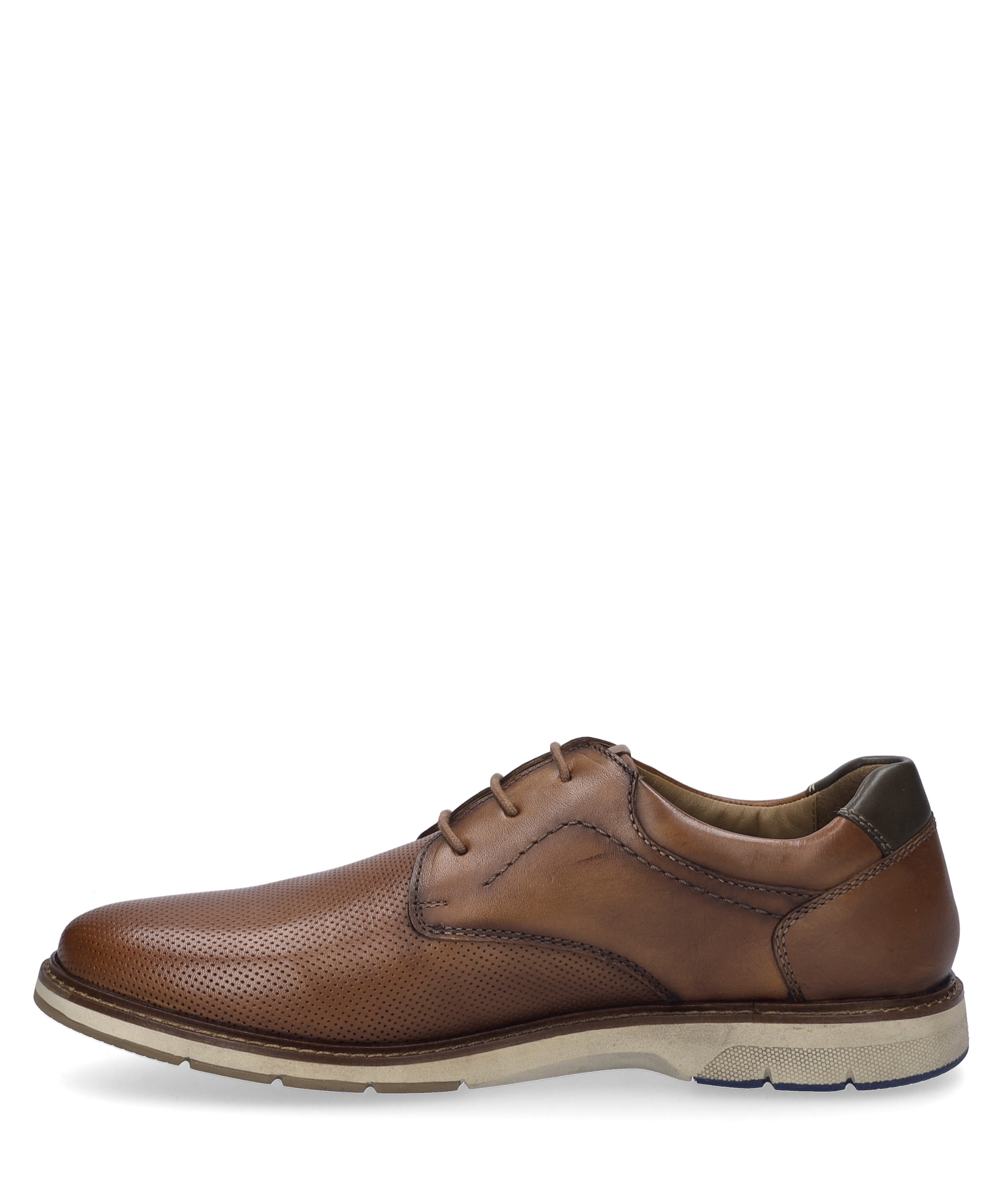 Josef Seibel Schnürschuh »Stuart 02, camel-kombi«