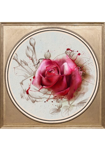 Acrylglasbild »Rosa Rose«