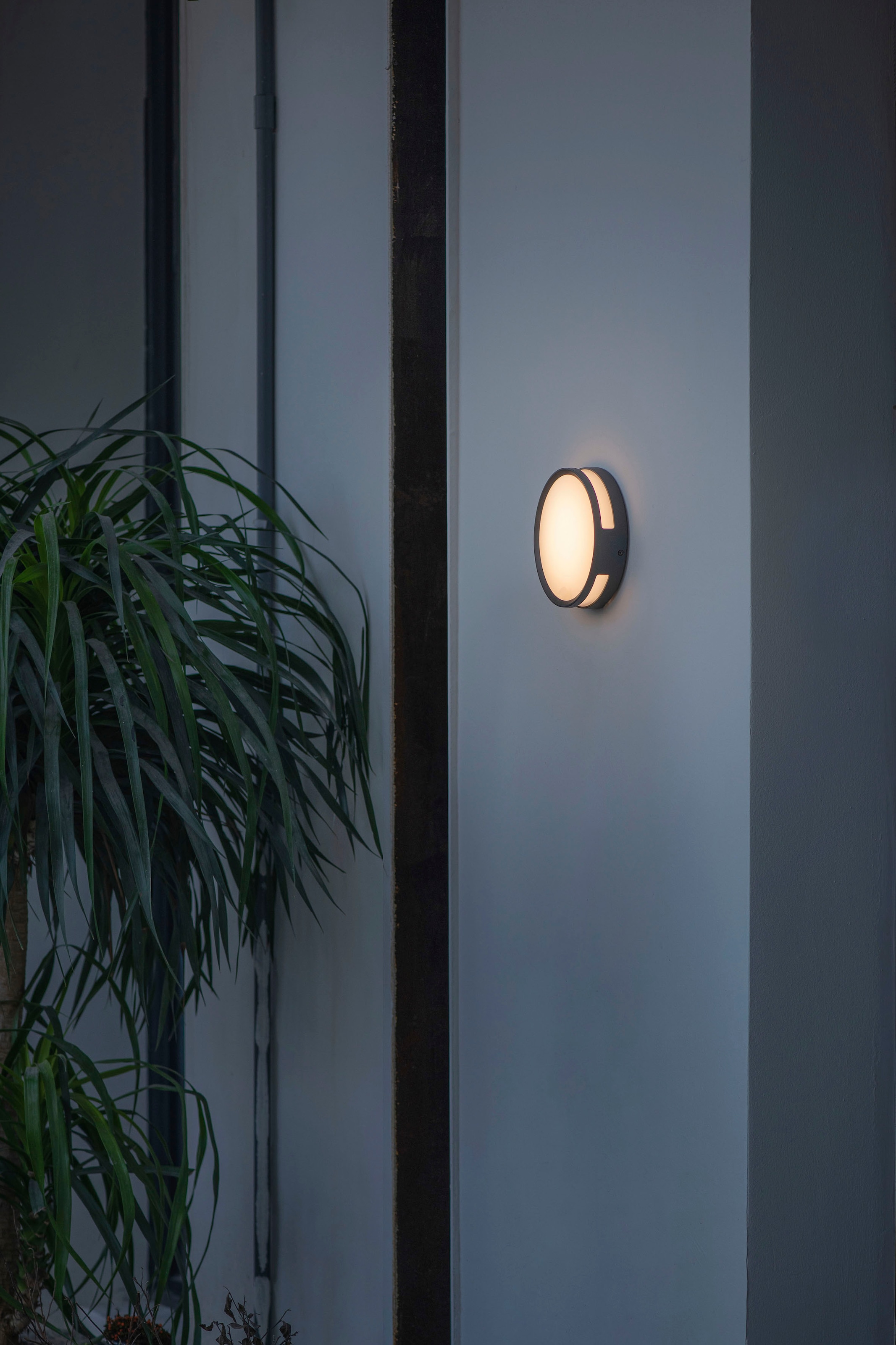 LUTEC LED Außen-Wandleuchte »ROLA«, Leuchtmittel LED-Modul | LED fest integriert