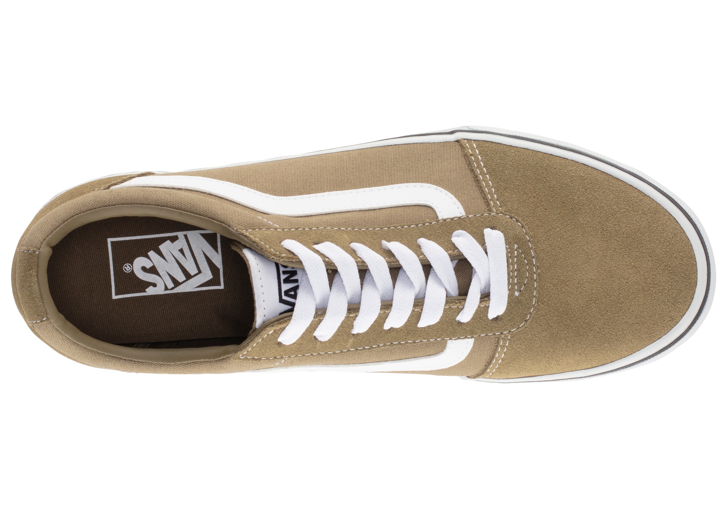 Vans Sneaker »Ward«