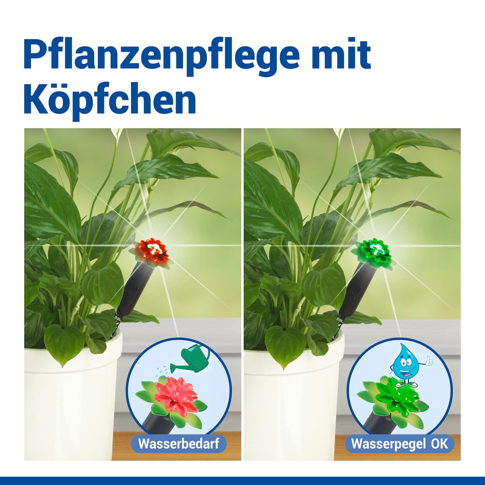 Maximex Pflanzenlampe »Modell Pflanzen-Alarm« Farbwechsler LED Boden-Feuchtigkeitsmesser für Pflanzen mit Ampelsystem