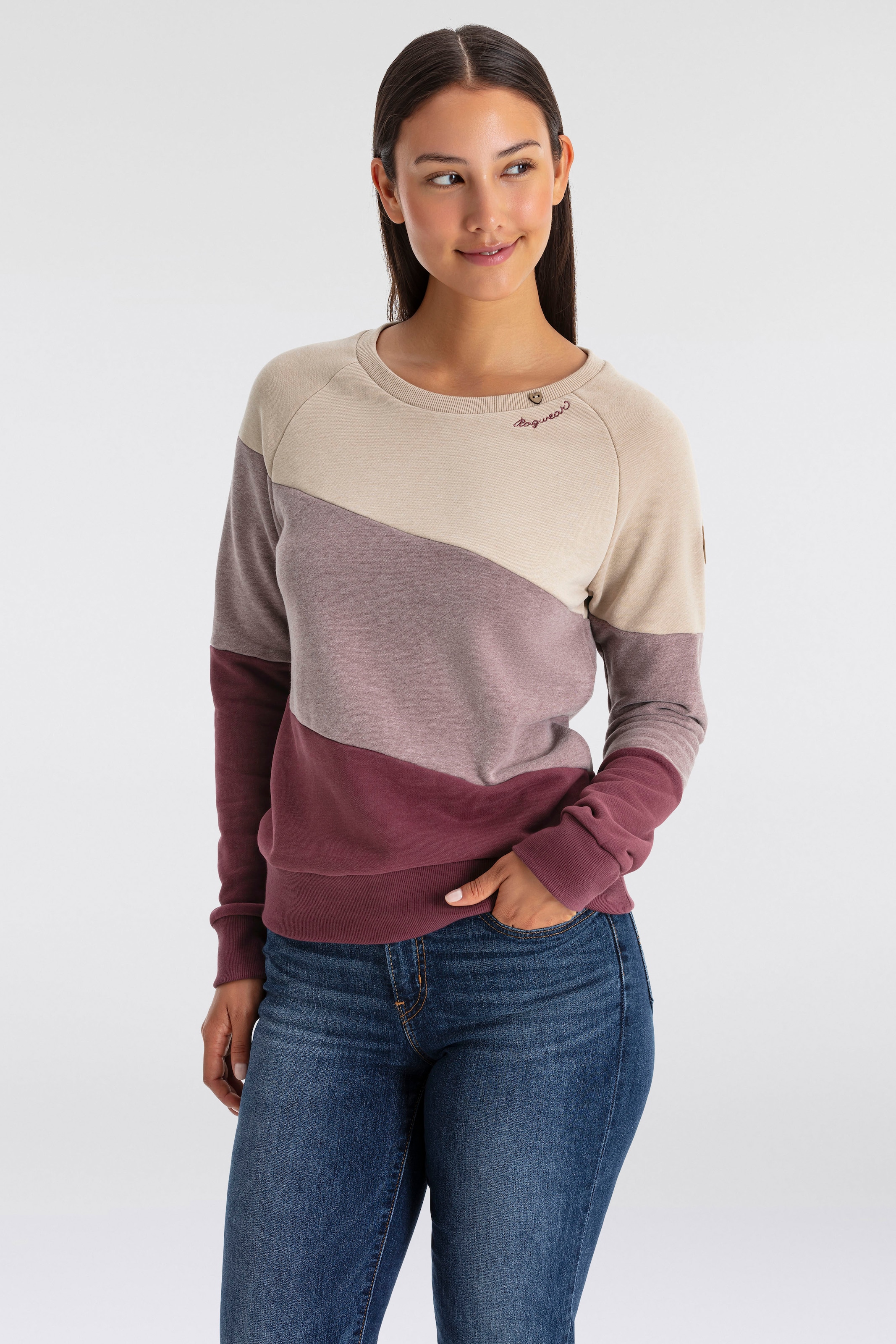 Ragwear Sweater »JOHANKA BLOCK«, Crew Neck im Color-Blocking Design