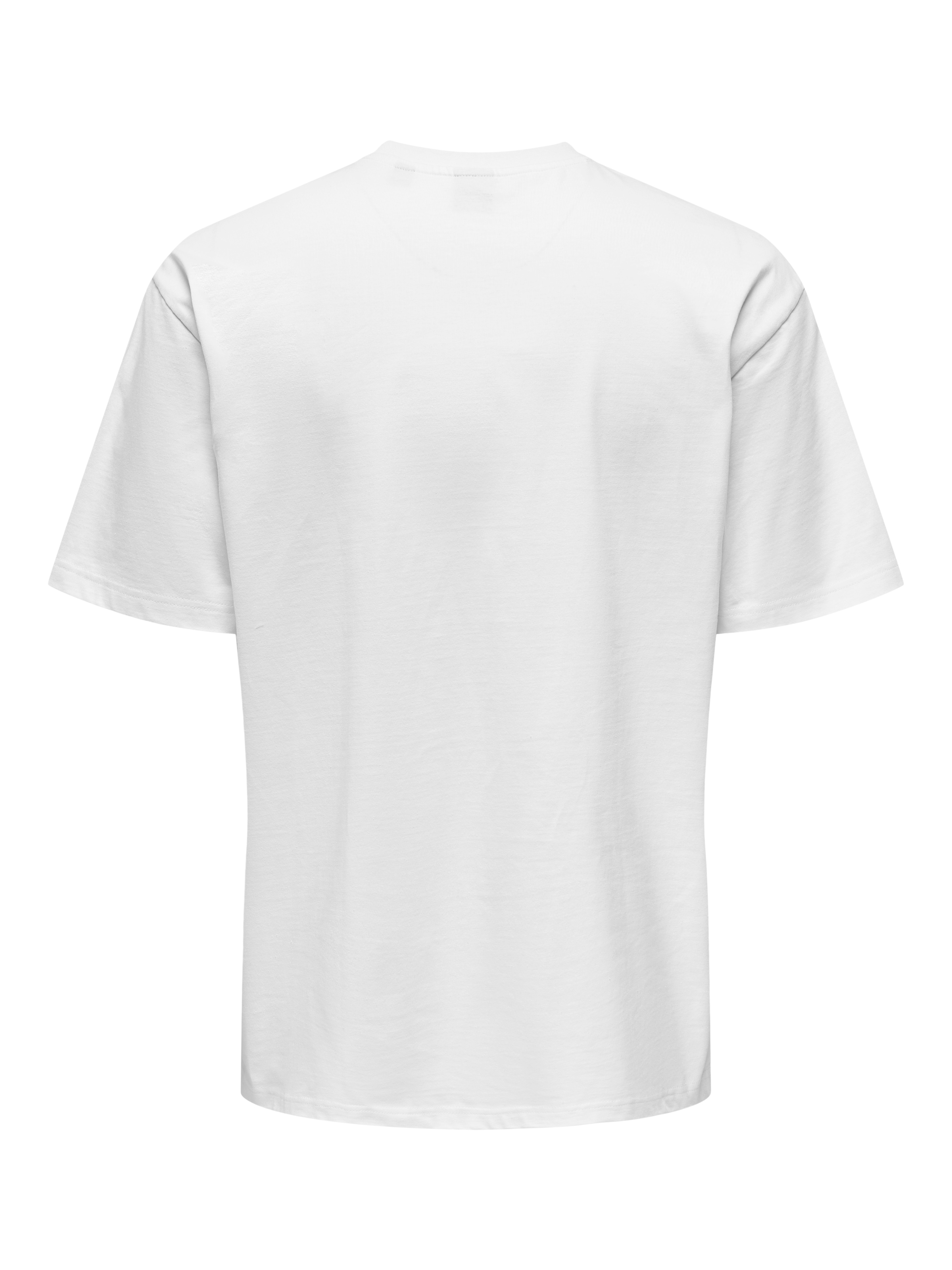 ONLY & SONS T-Shirt »ONSFRED LIFE RLX SS TEE NOOS«