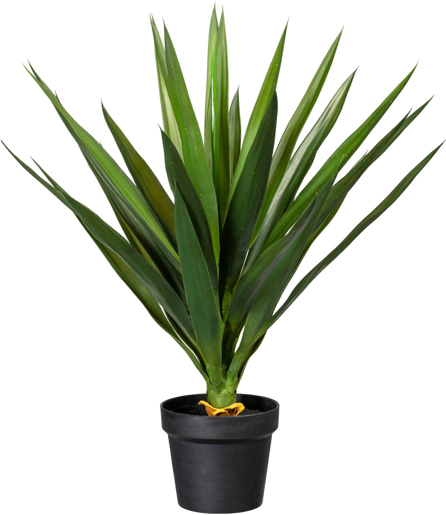 Creativ Green Künstliche Zimmerpflanze »Yucca« in grün, Größe B/H/L: 70 cm