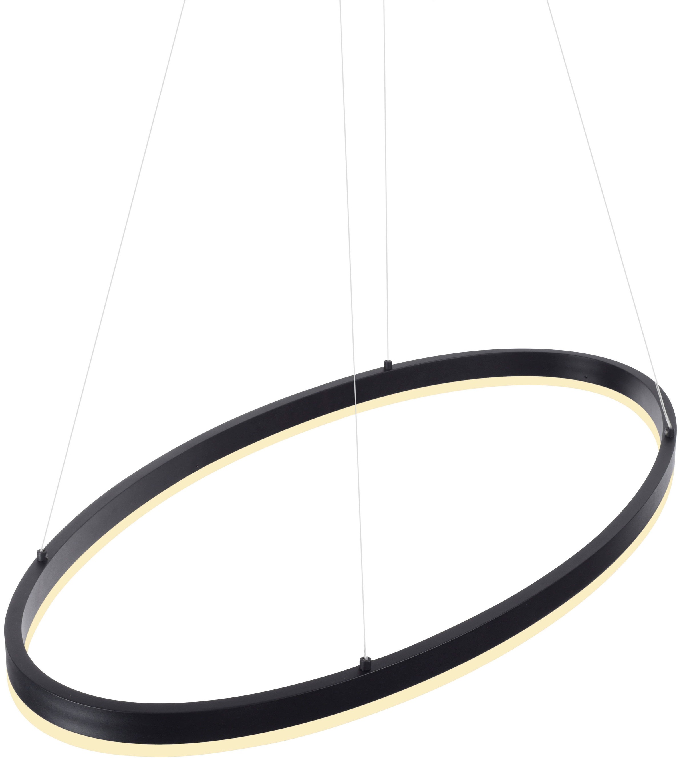 Paul Neuhaus Pendelleuchte »TITUS«, 1 flammig, Leuchtmittel LED-Board | LED fest integriert, LED, dimmbar, Simply Dim, Memory, nach Trennung vom Netz