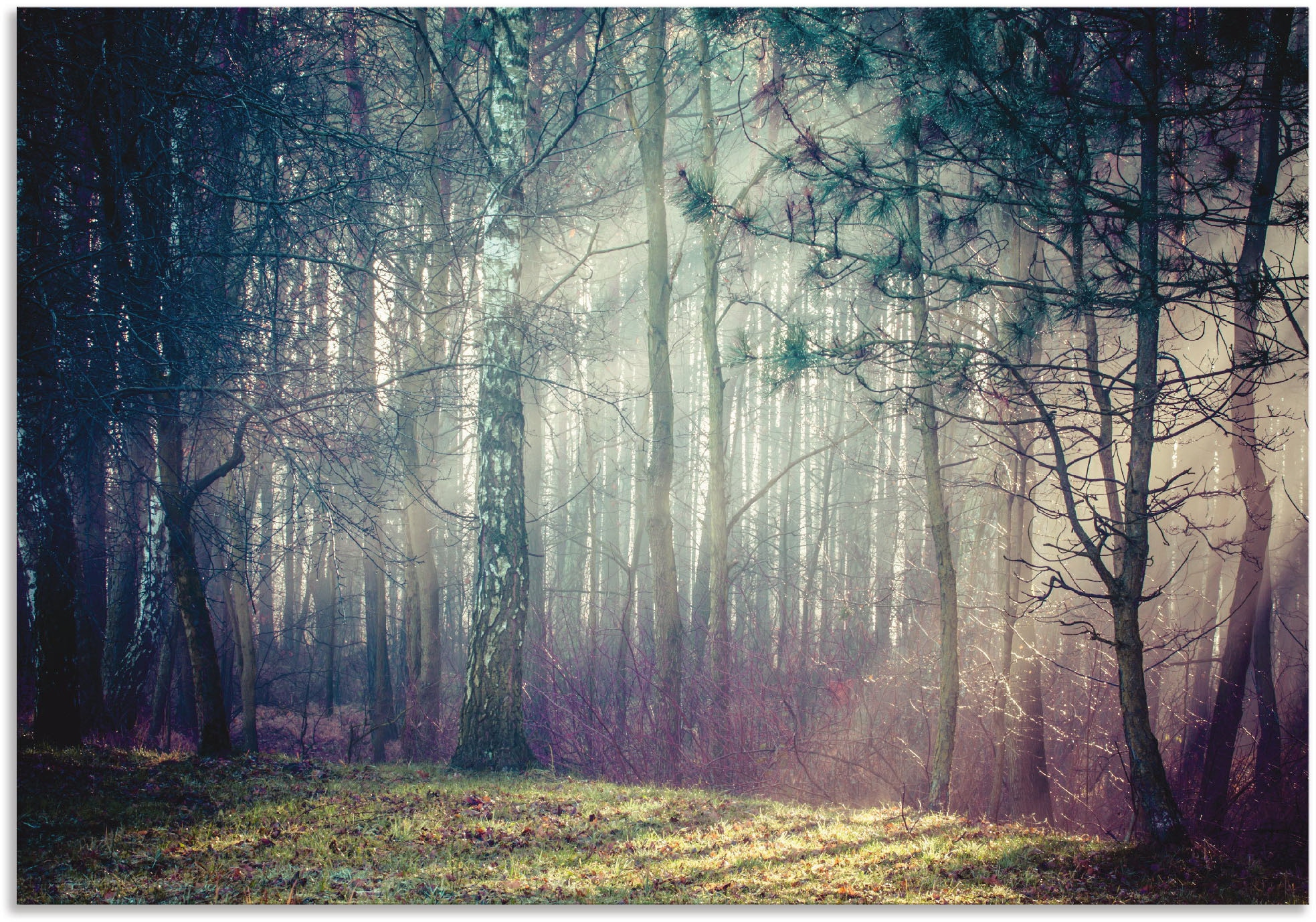 Artland Wandbild »Sonnenstrahlen im Wald«, versch. OTTO oder Wandaufkleber Poster kaufen (1 Größen Waldbilder, als bei Leinwandbild, St.), in Alubild