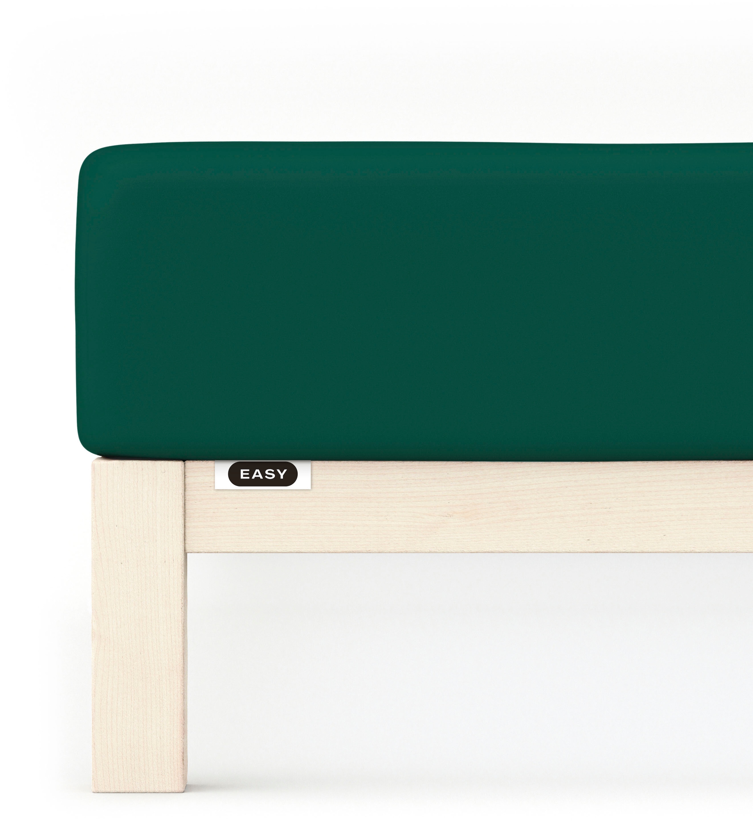 Schlafgut Spannbettlaken »EASY Jersey Elasthan« MADE IN GREEN by OEKO-TEX in grün, Größe 120-130x200-220 30