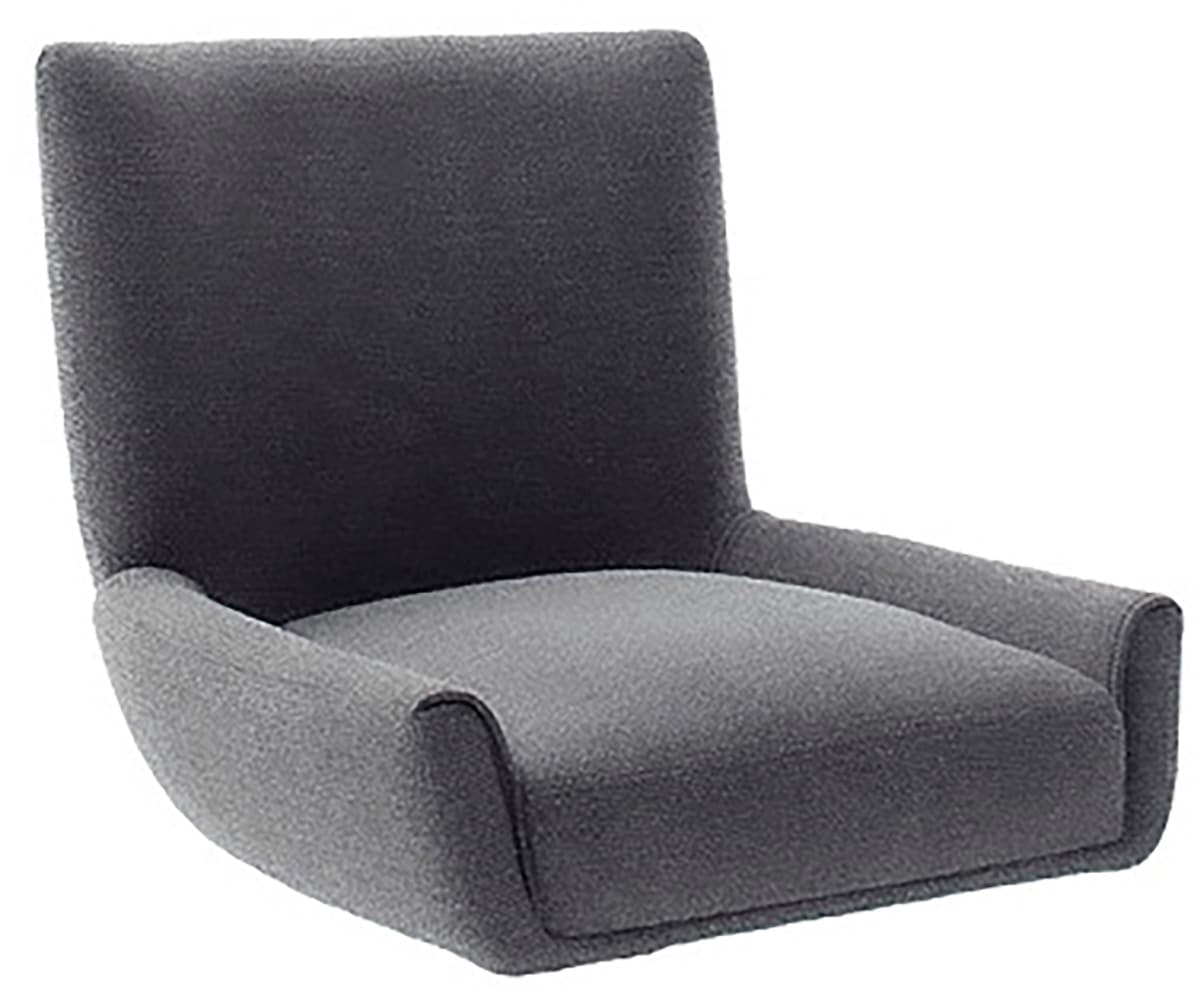 MCA furniture 4-Fußstuhl »WILSON Esszimmerstuhl, Armlehnstuhl, Polsterstuhl, modern«, (Set), 2 St., Flachgewebe, Stuhl, Armlehnenstuhl, drehbar, Taschenfederkern, belastbar 160 kg,XXL