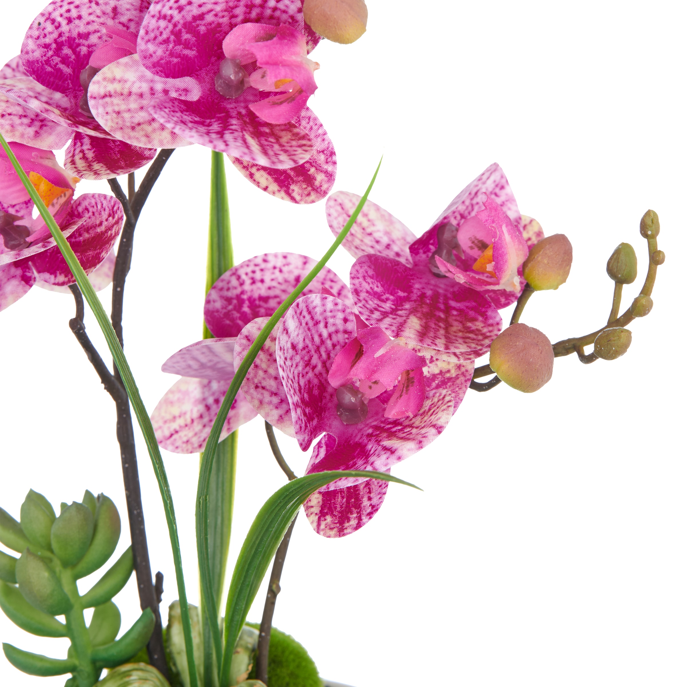 Creativ green Kunstorchidee »Orchidee Phalaenopsis«, mit real-touch-Blüten