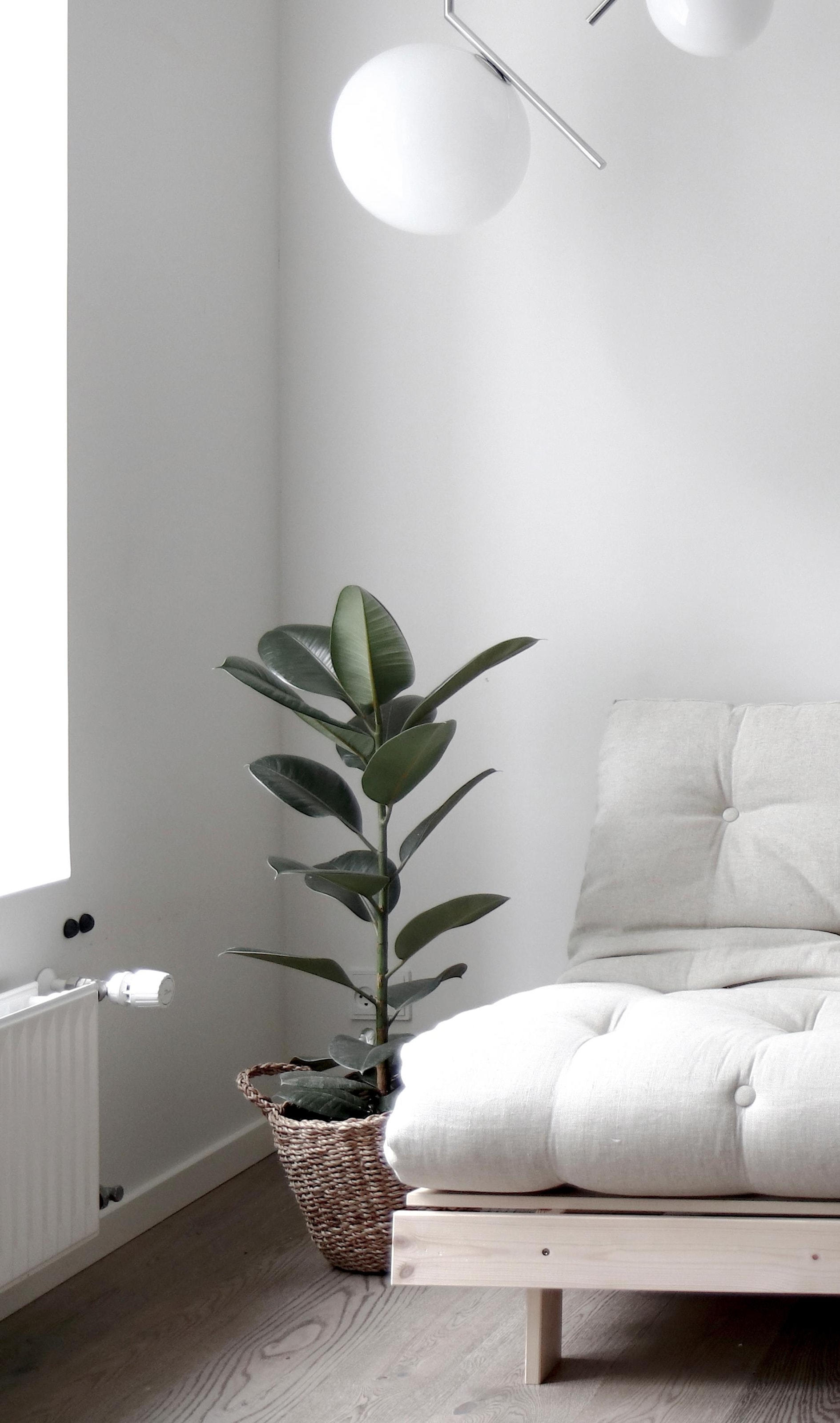 Karup Design Daybett »Roots Schlafsofa, Gästebett, Sofa inkl. Futonmatratze«, Liegefläche 90/140/160 x200 cm, FSC® zertifizierte Kiefer