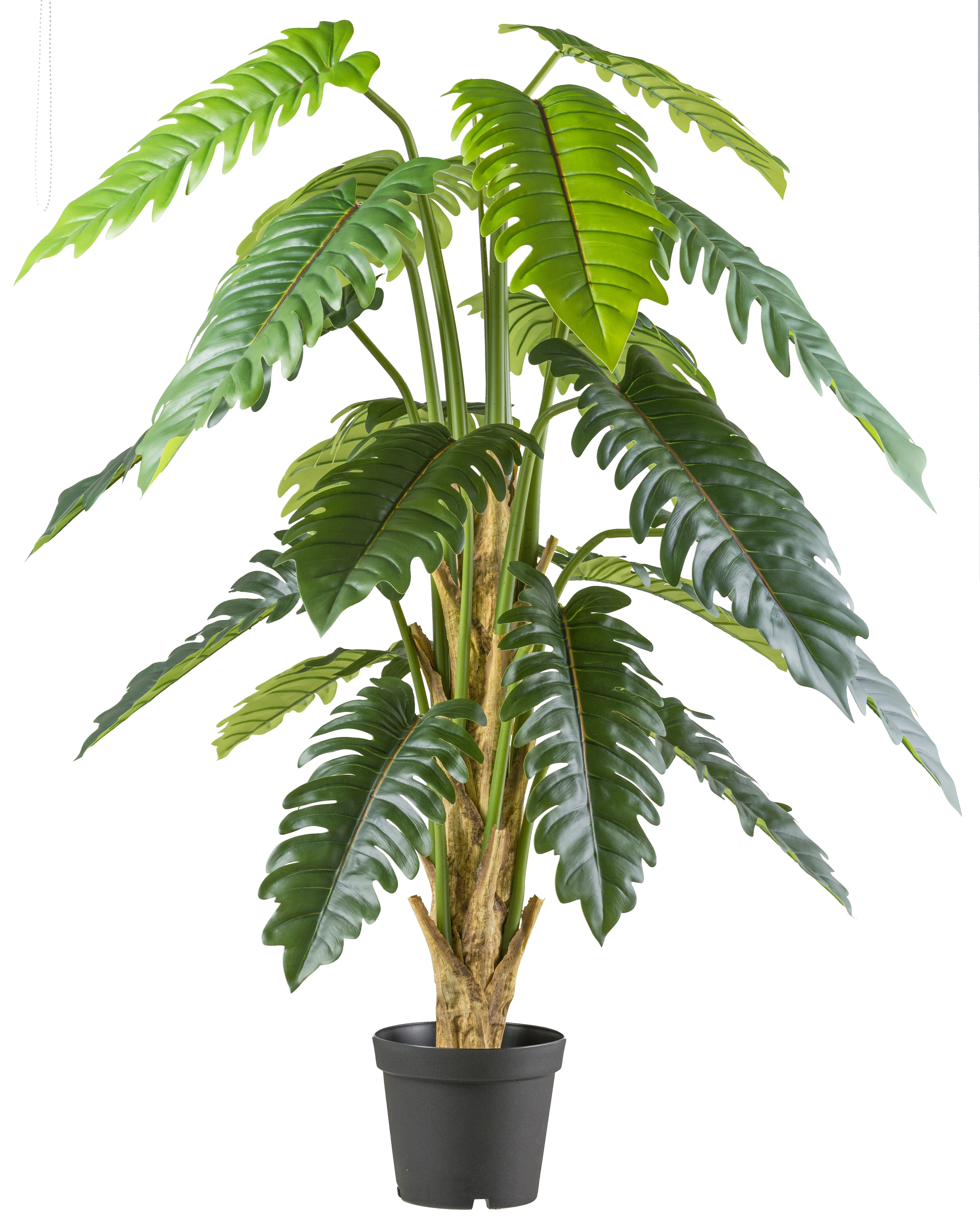 Creativ Green Kunstbaum »Philodendron xanadu« mit großformatigem Blattwerk in grün, Größe B/H/L: 195 cm
