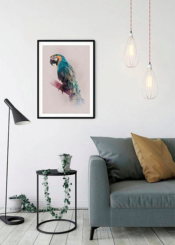 Komar Bild »Animals Paradise Parrot«, Tiere, (1 St.), Wandbild zur Dekoration - ohne Rahmen