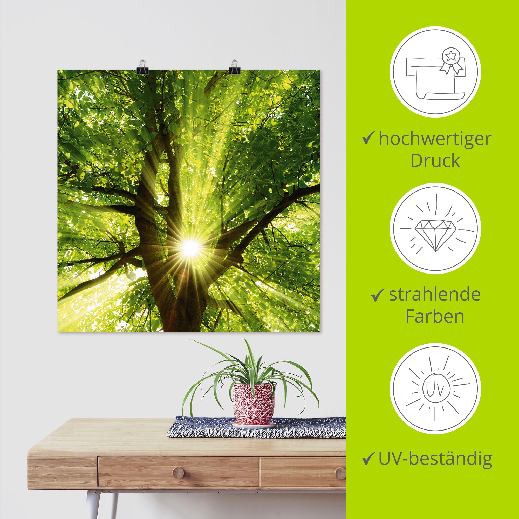 Artland Wandbild »Sonne strahlt explosiv durch den Baum«, Bäume, (1 St.), als Leinwandbild, Poster, Wandaufkleber in verschied. Größen