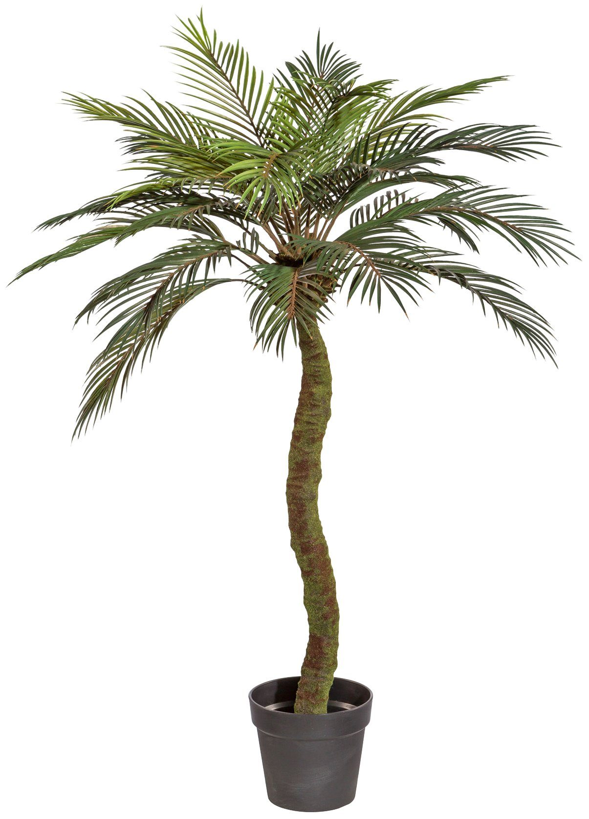 Creativ Green Kunstpalme »Sagopalme« im Kunststofftopf in grün, Größe B/H/L: 120 cm