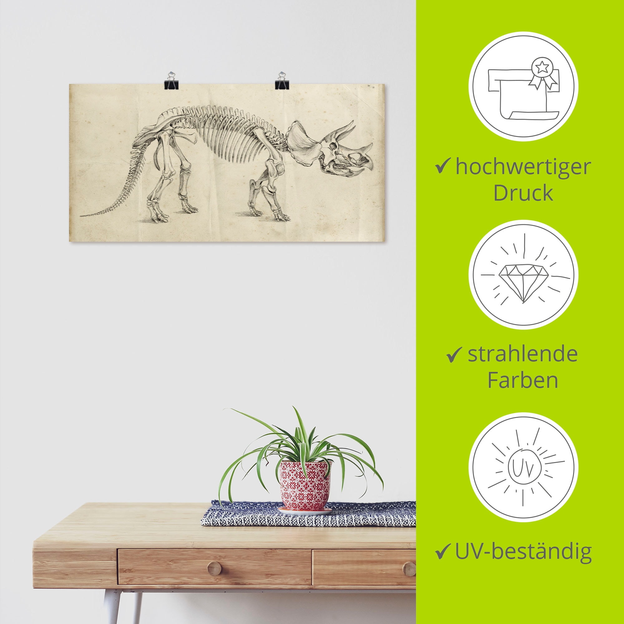 Artland Wandbild »Dinosauria Lehre II«, Dinosaurier, (1 St.), als Alubild, Outdoorbild, Poster in verschied. Größen