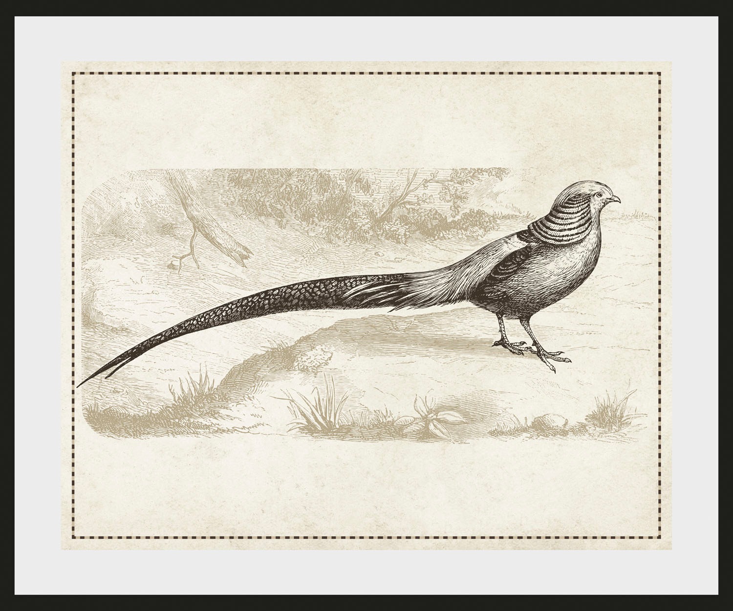 queence Bild »Daniel«, Vögel, (1 St.)