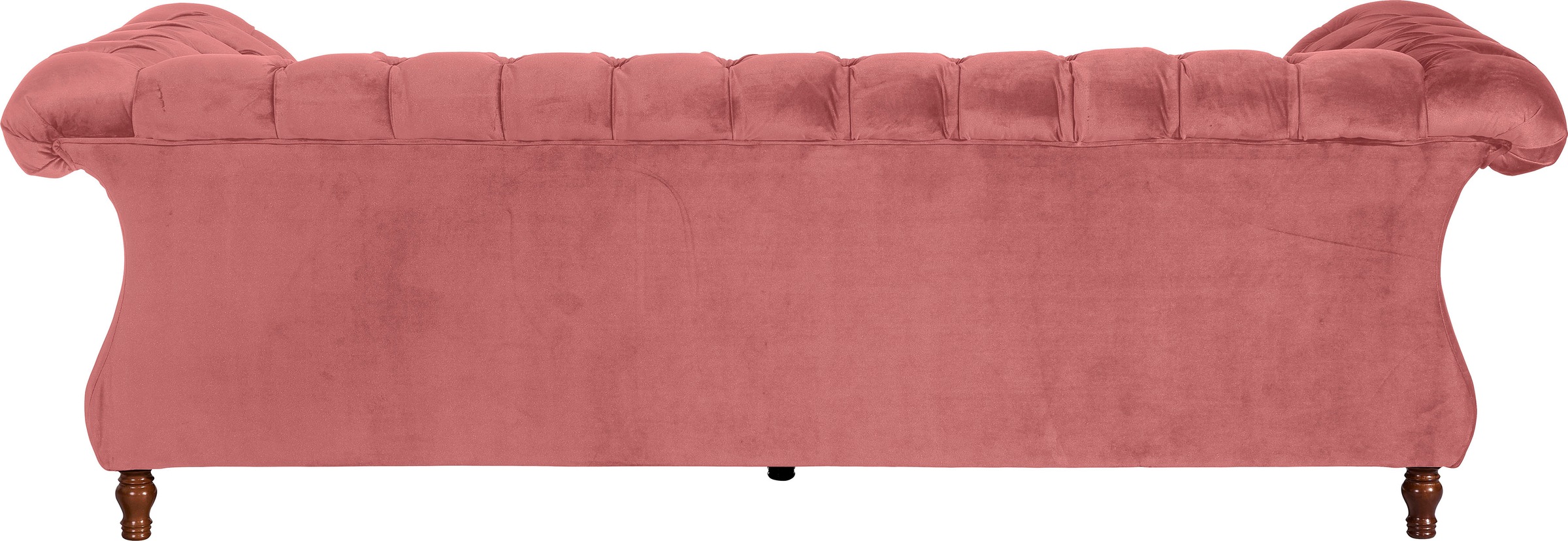 Max Winzer® Chesterfield-Sofa »Isabelle«, Knopfheftung & gedrechselten Füßen in Buche Nussbaum, Breite 260 cm