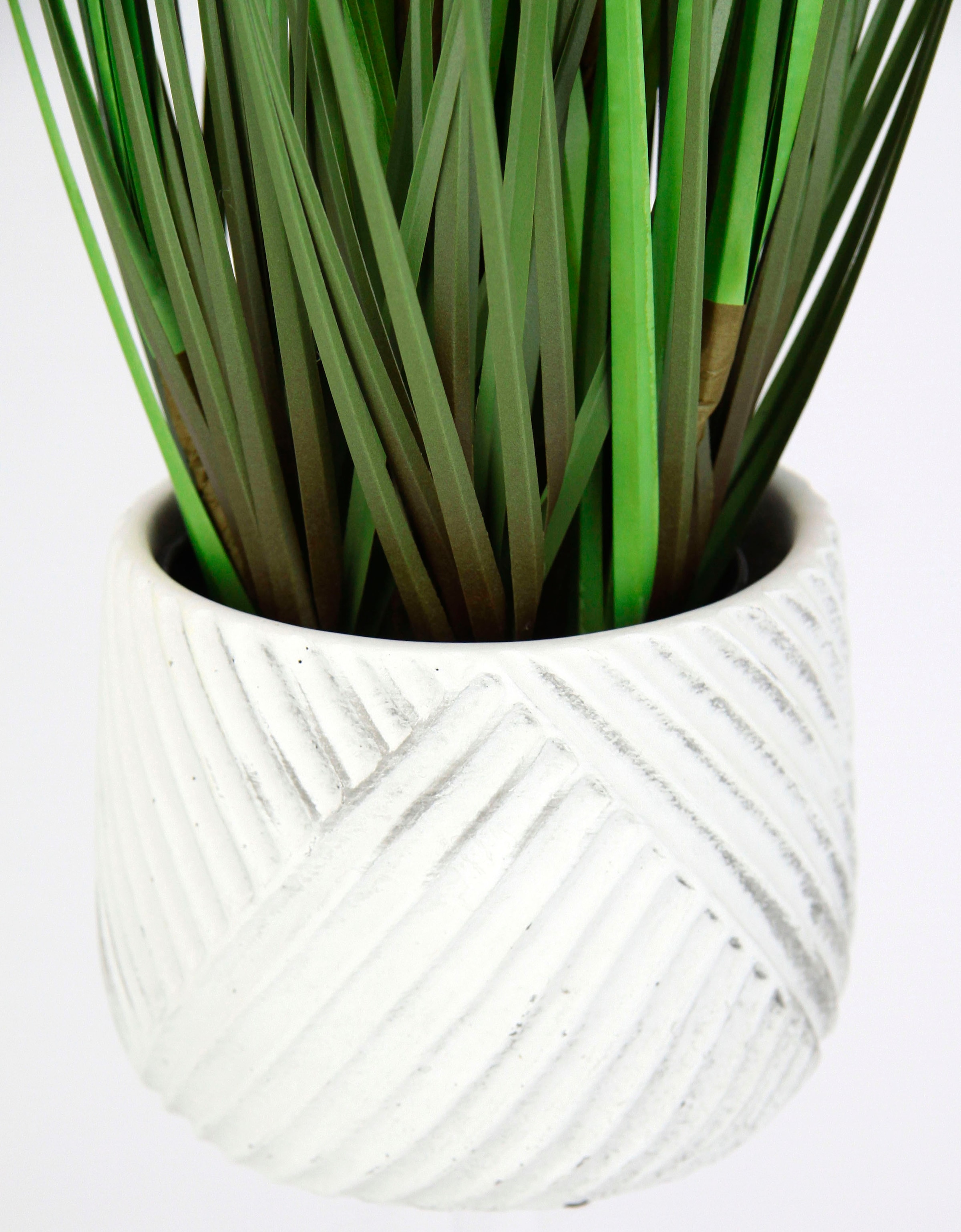 I.GE.A. Kunstpflanze »Fuchsschwanzgras« Mit Übertopf Kunstgras Deko Borstenhirse Panicoideae Süßgräser Setaria