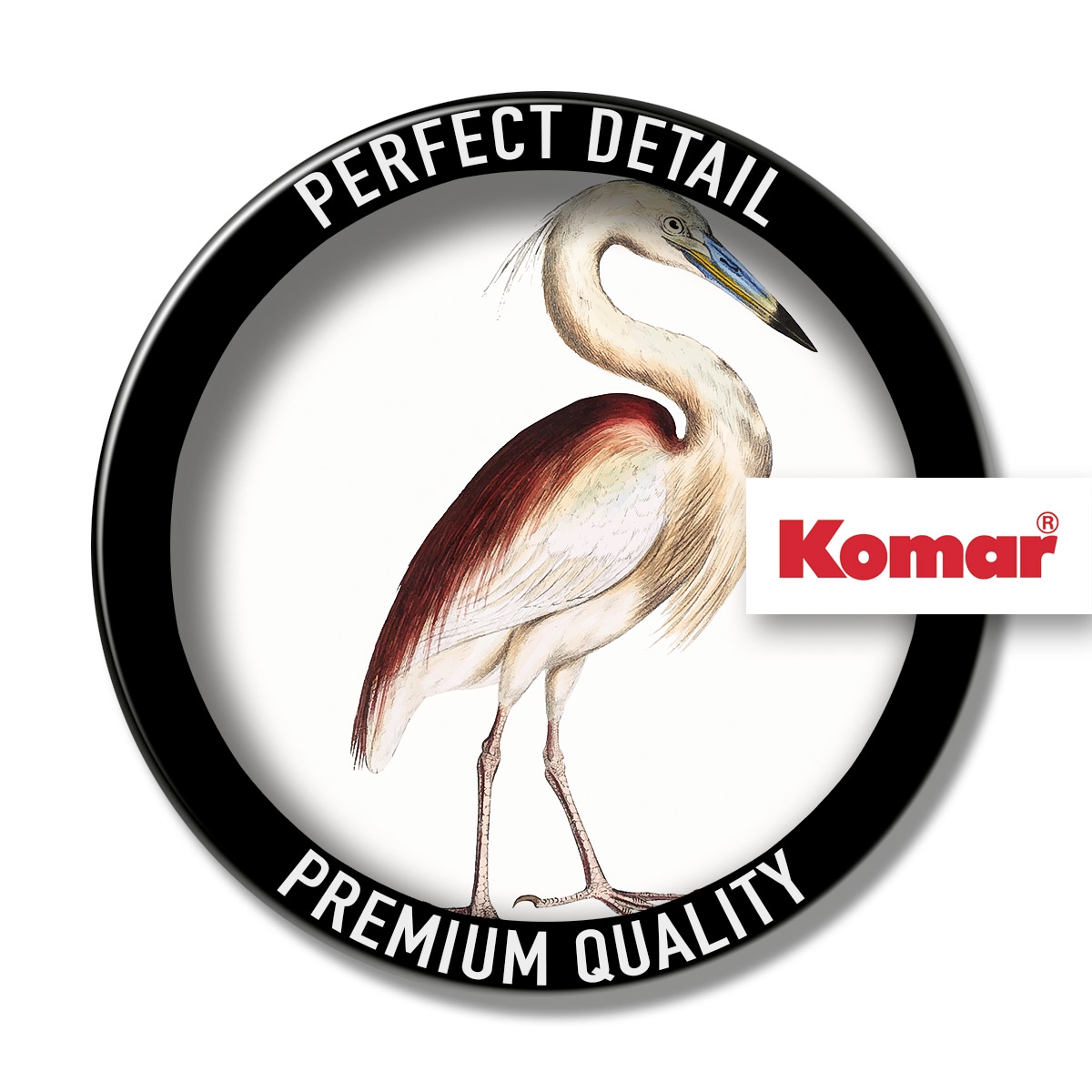 Komar Leinwandbild »Uncommon Bird - Größe 40 x 40 cm«, Natur, (1 St.), Keilrahmenbild mi Echtholzrahmen