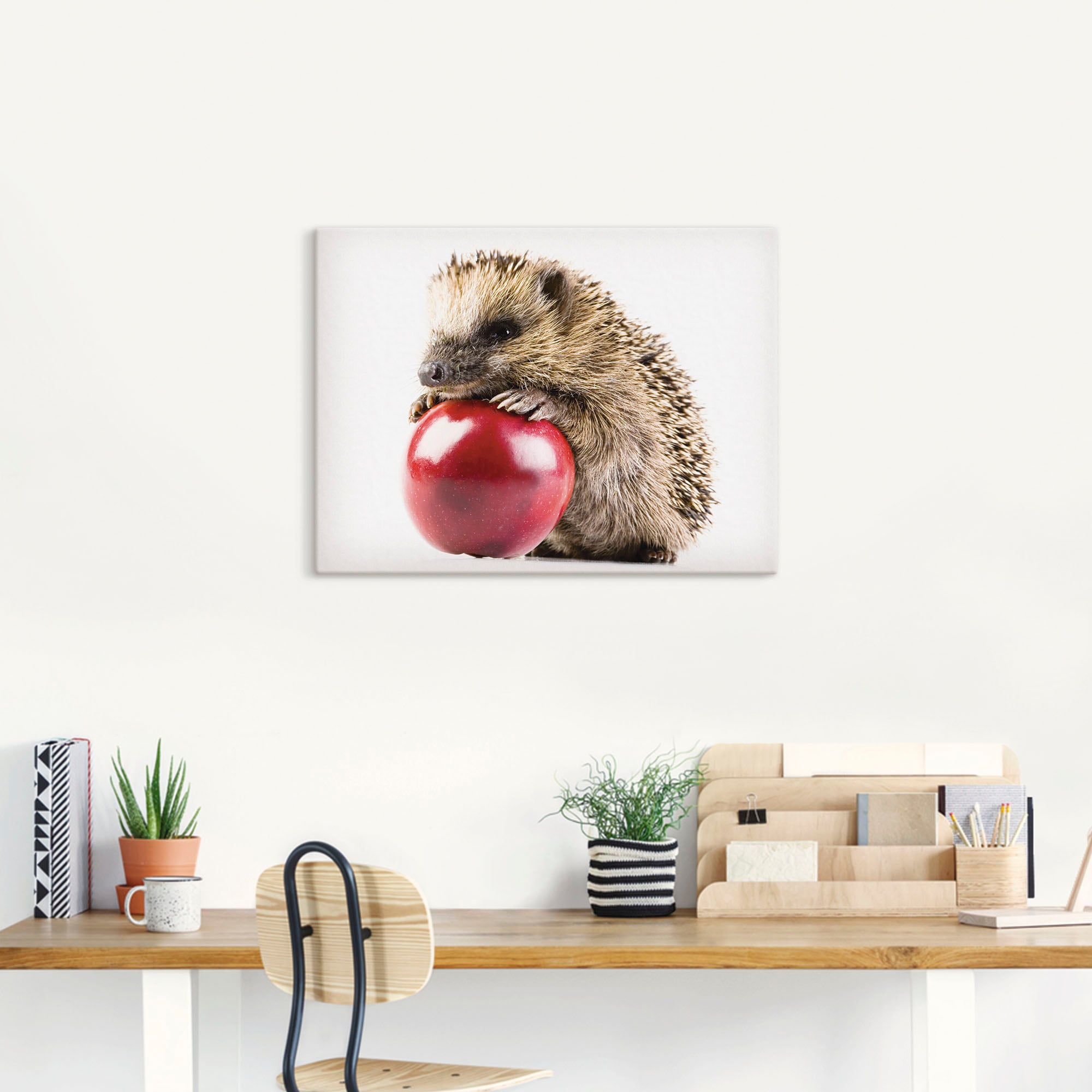 Artland Leinwandbild »Glücklicher Igel«, Wildtiere, (1 St.), auf Keilrahmen gespannt