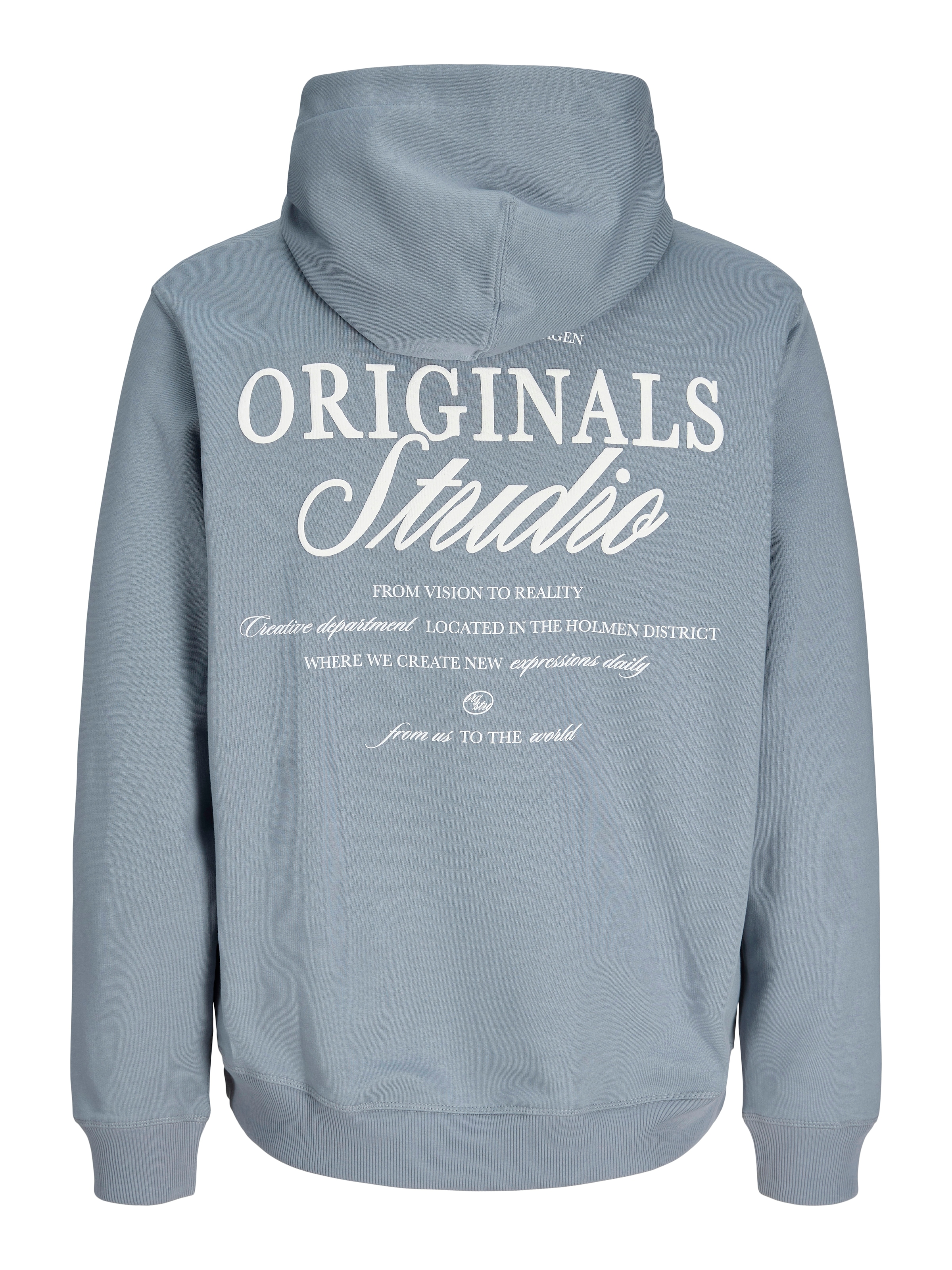 Jack & Jones Kapuzensweatshirt »JORNORREBRO TYPO BACK SWEAT HOOD SN«, mit Print
