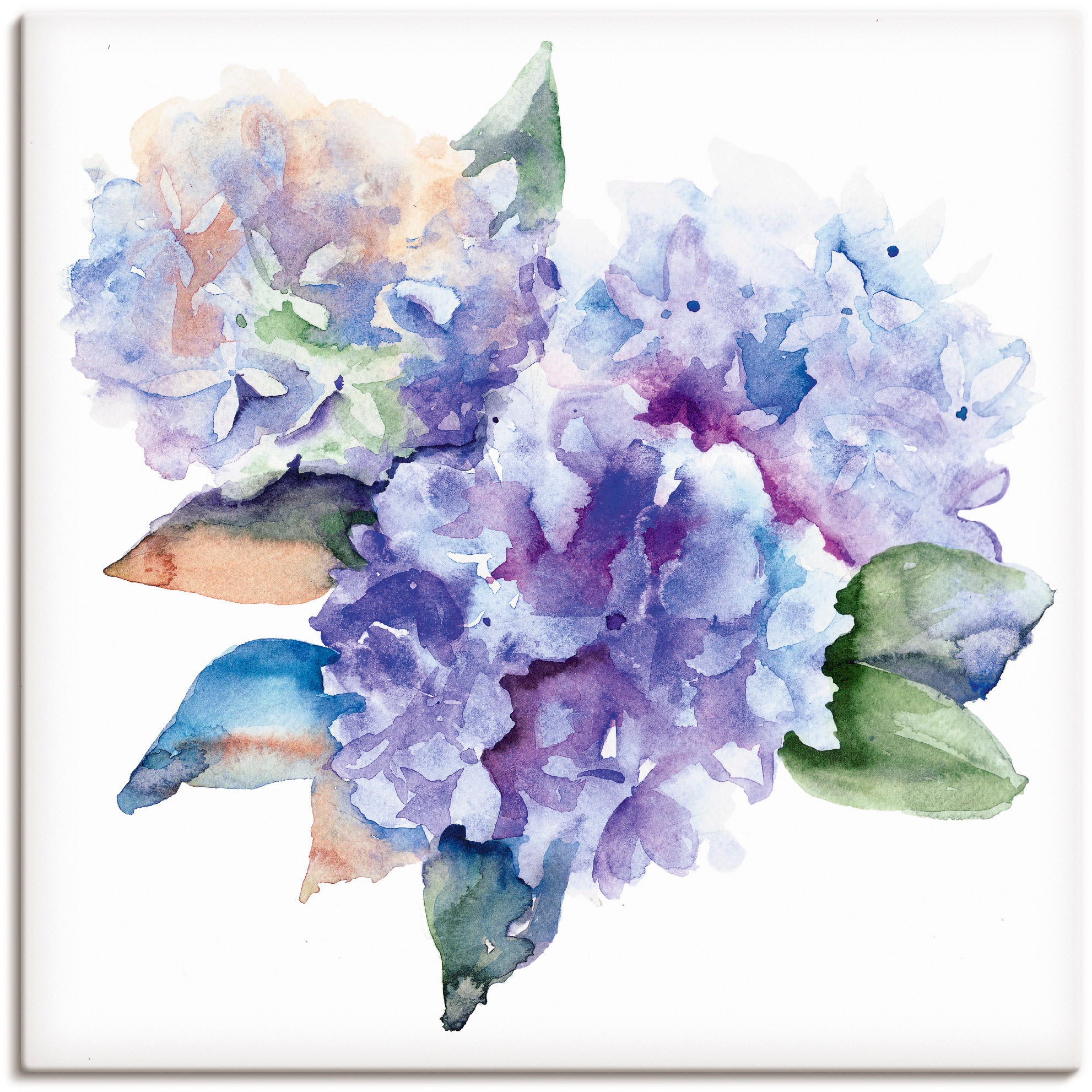 Artland Wandbild »Hortensien«, Blumen, (1 St.), in vielen Größen & Produktarten - Alubild / Outdoorbild für den Außenbereich, Leinwandbild, Poster, Wandaufkleber / Wandtattoo auch für Badezimmer geeignet