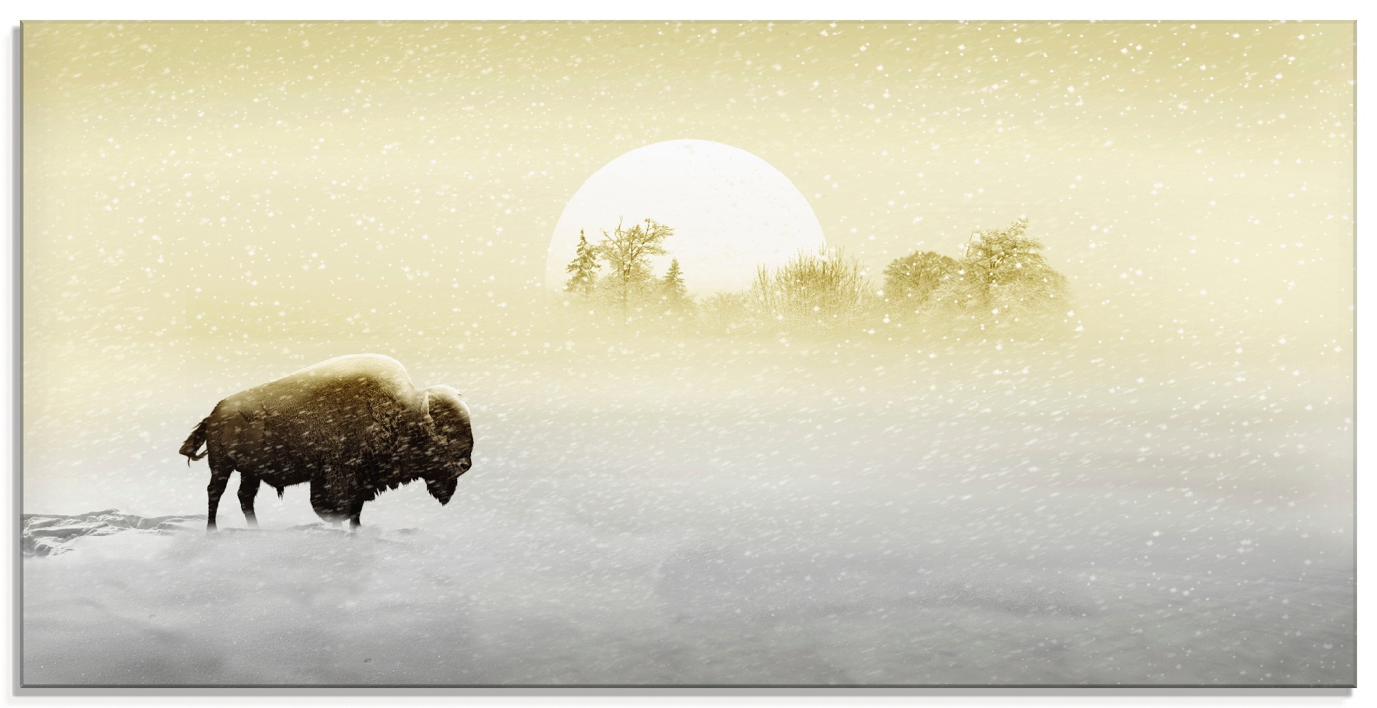 Artland Glasbild »Bison im Schnee«, Wildtiere, (1 St.)