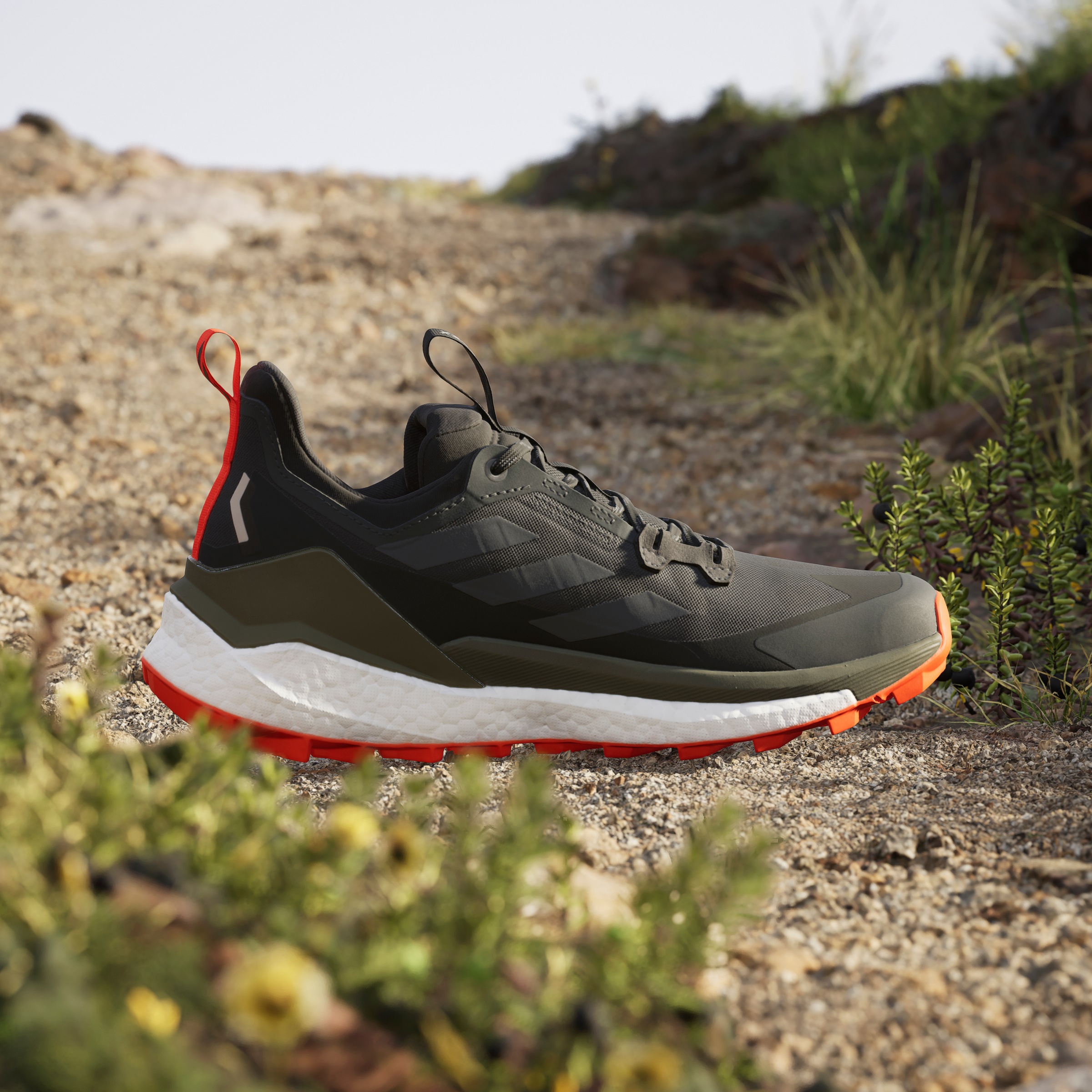 adidas TERREX Wanderschuh »TERREX FREE HIKER 2.0 LOW«