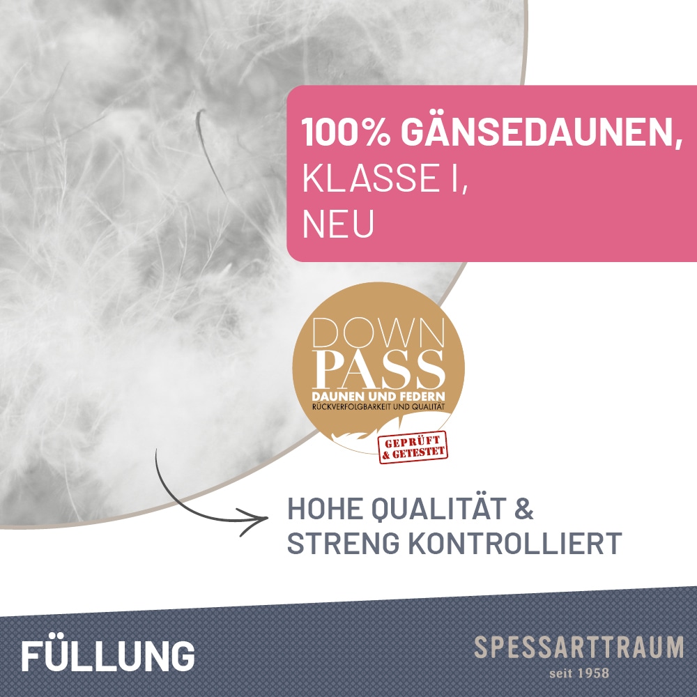 SPESSARTTRAUM Gänsedaunenbettdecke »Premium****, hergestellt in Deutschland«, Füllung 100% Gänsedaunen, Klasse 1, Downpass zertifiziert, Bezug 100% Baumwolle, nachhaltig (Made in Green), Hausstauballergiker geeignet, (1 St.)