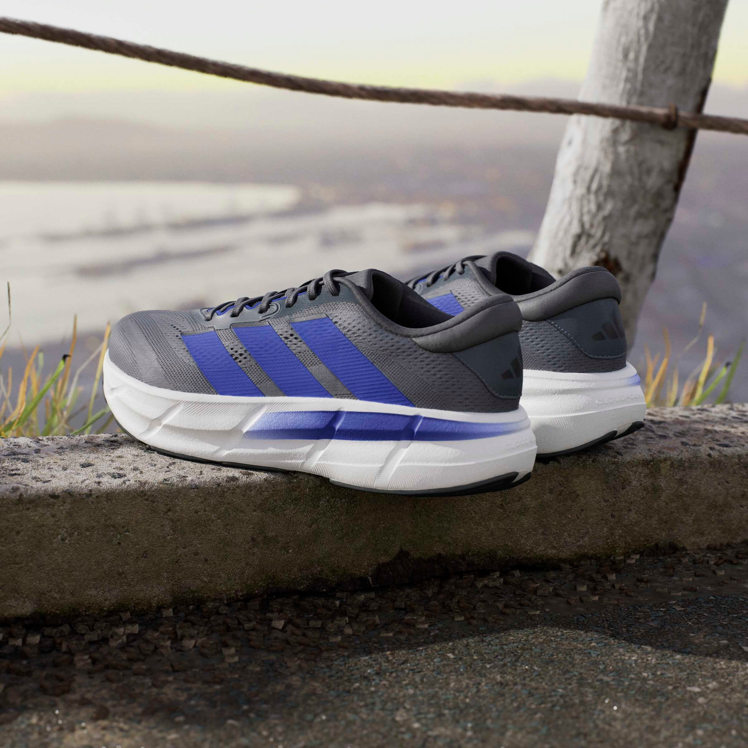 adidas Performance Laufschuh »QUESTAR 4«