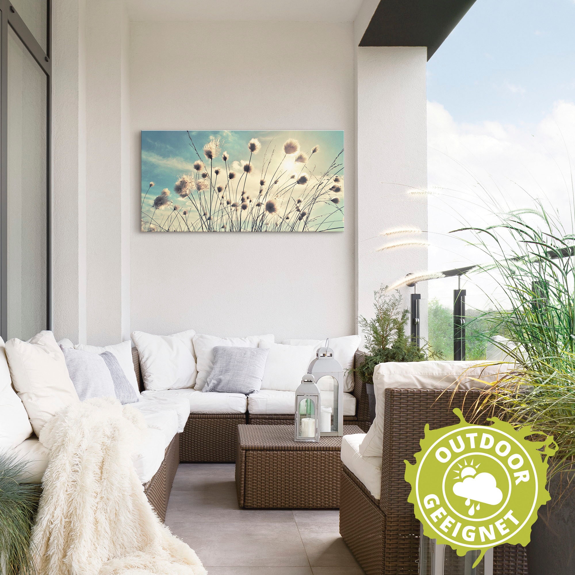 Artland Wandbild »Wollgras«, Gräser, (1 St.), als Alubild, Outdoorbild, Leinwandbild, Poster, Wandaufkleber