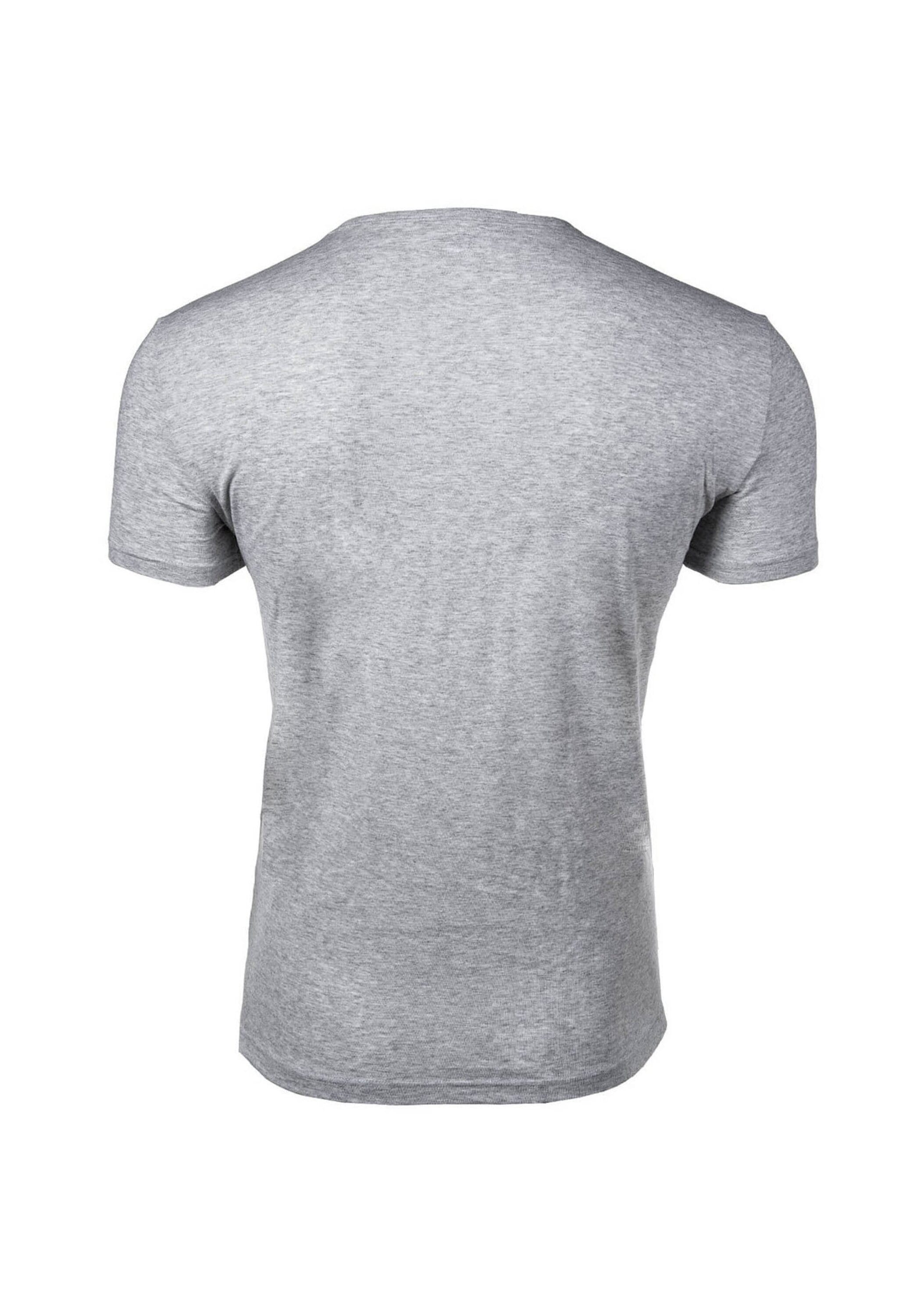 Emporio Armani T-Shirt »T-Shirt BOLD MONOGRAM 2er Pack«