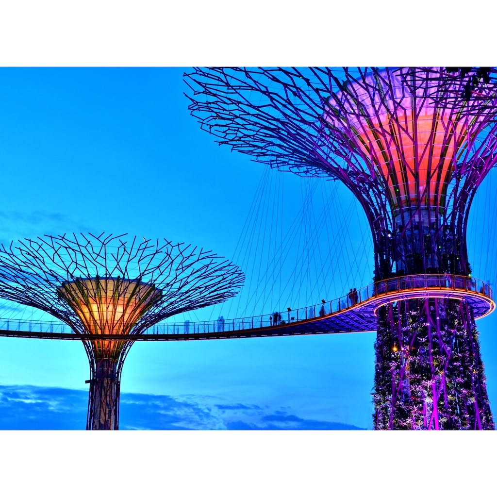 Papermoon Fototapete »Singapore Bay Supertrees«