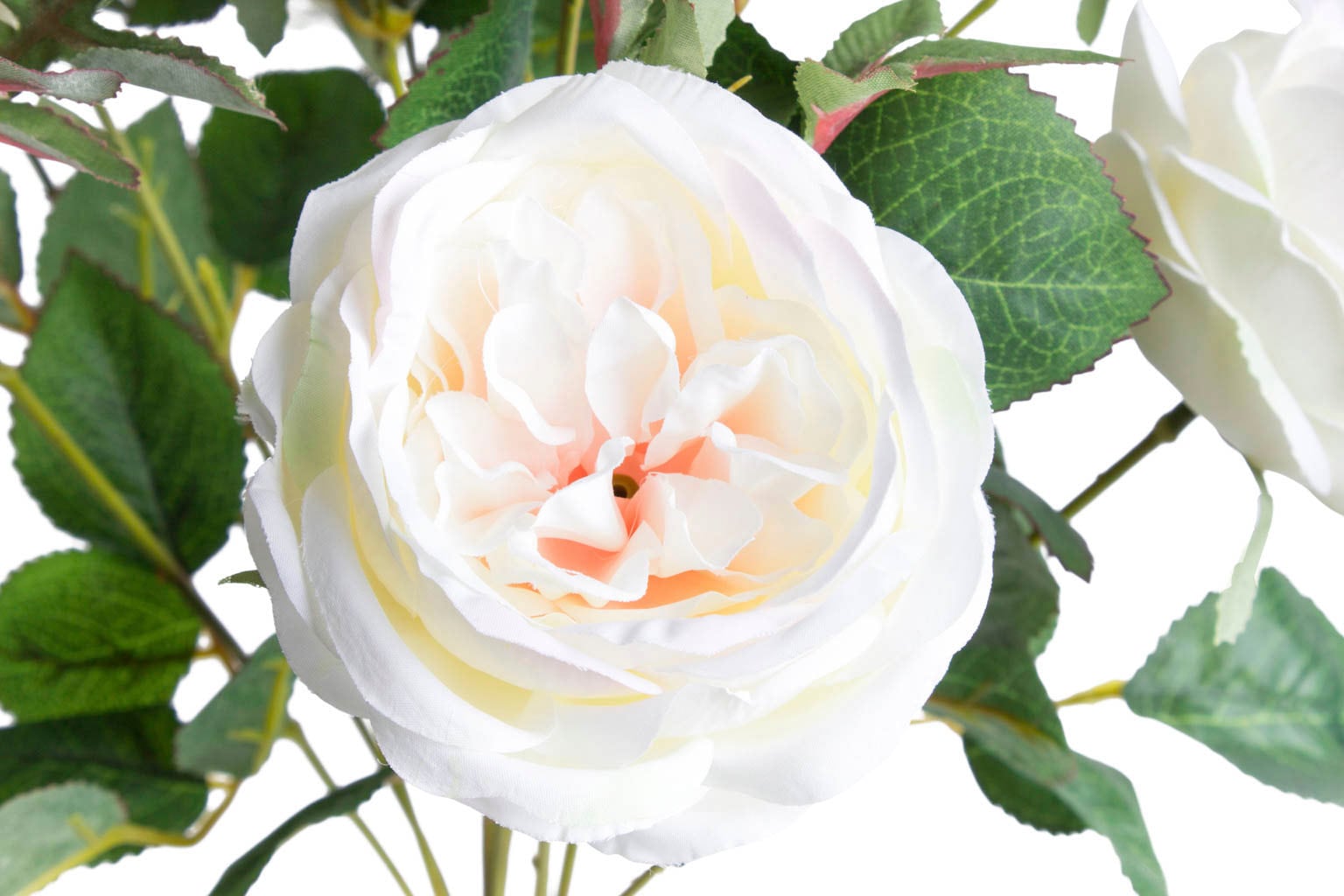 Botanic-Haus Kunstblume »Englischer Rosenbusch«, (1 Shop OTTO kaufen im Online St.)