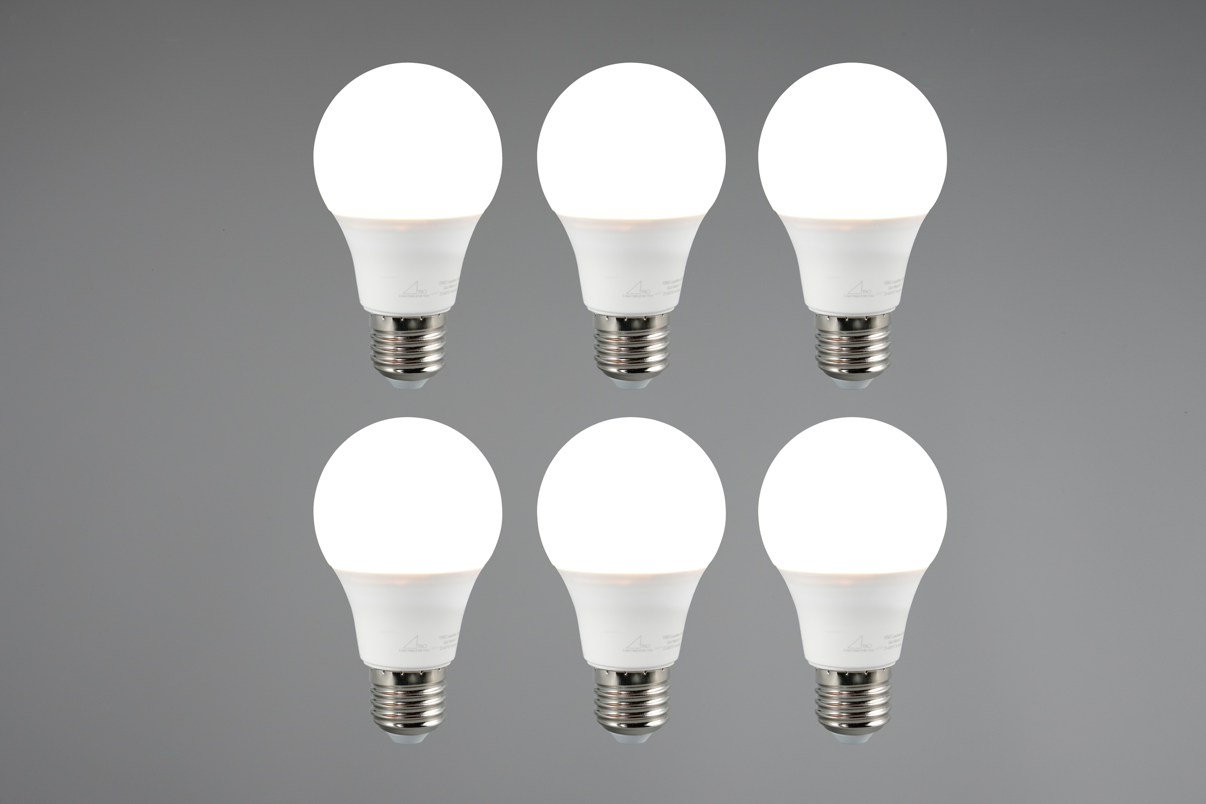 TRIO Leuchten LED-Leuchtmittel »Leuchtmittel Set E27« E27 6 Stk. Warmweiß 6er Set Leuchtmittel E27 Fassung, Glühbirne E27 LED warmweiß