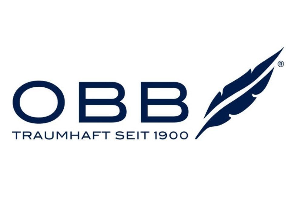 OBB Federkopfkissen »Kopfkissen Classic«, Füllung: 85% Federn, 15% Daunen, Bezug: 100% Baumwolle, (1 St.)
