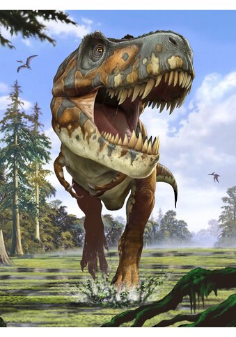 Komar Fototapete »Tyrannosaurus Rex«, bedruckt-Comic-Retro-mehrfarbig, BxH: 184x248 cm kaufen