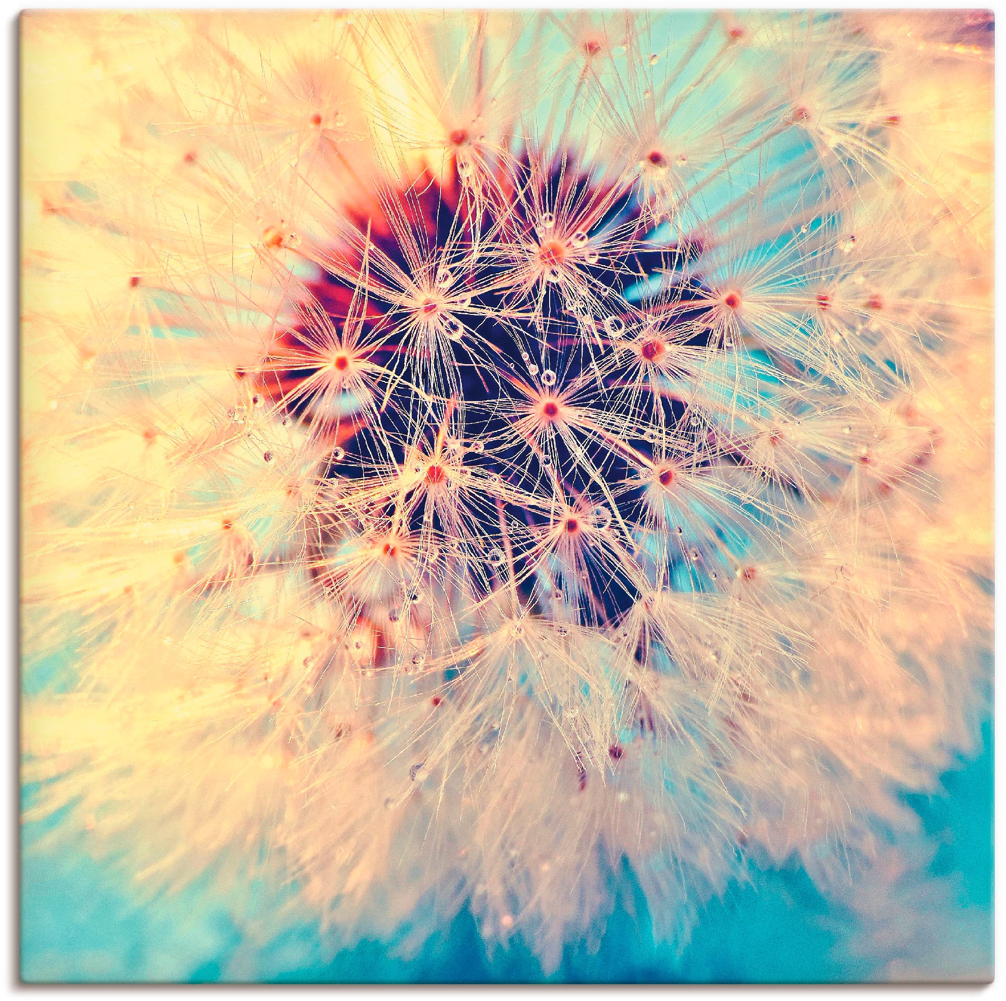 Artland Wandbild »Pusteblume ganz nah«, Blumen, (1 St.), in vielen Größen & Produktarten - Alubild / Outdoorbild für den Außenbereich, Leinwandbild, Poster, Wandaufkleber / Wandtattoo auch für Badezimmer geeignet