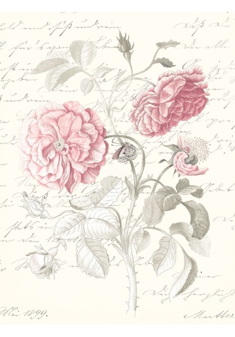 Komar Poster »Poème Rose«, (1 St.) kaufen