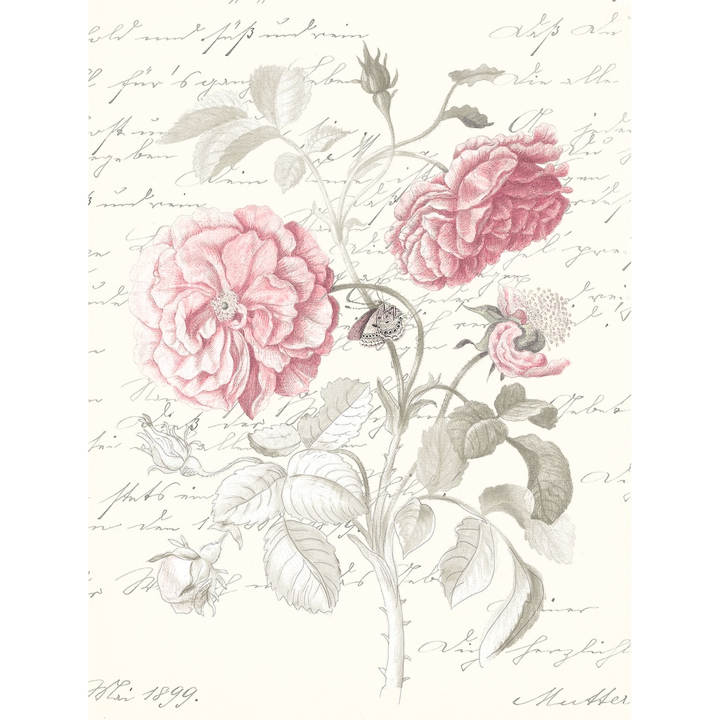 Komar Poster »Poème Rose«, (1 St.)