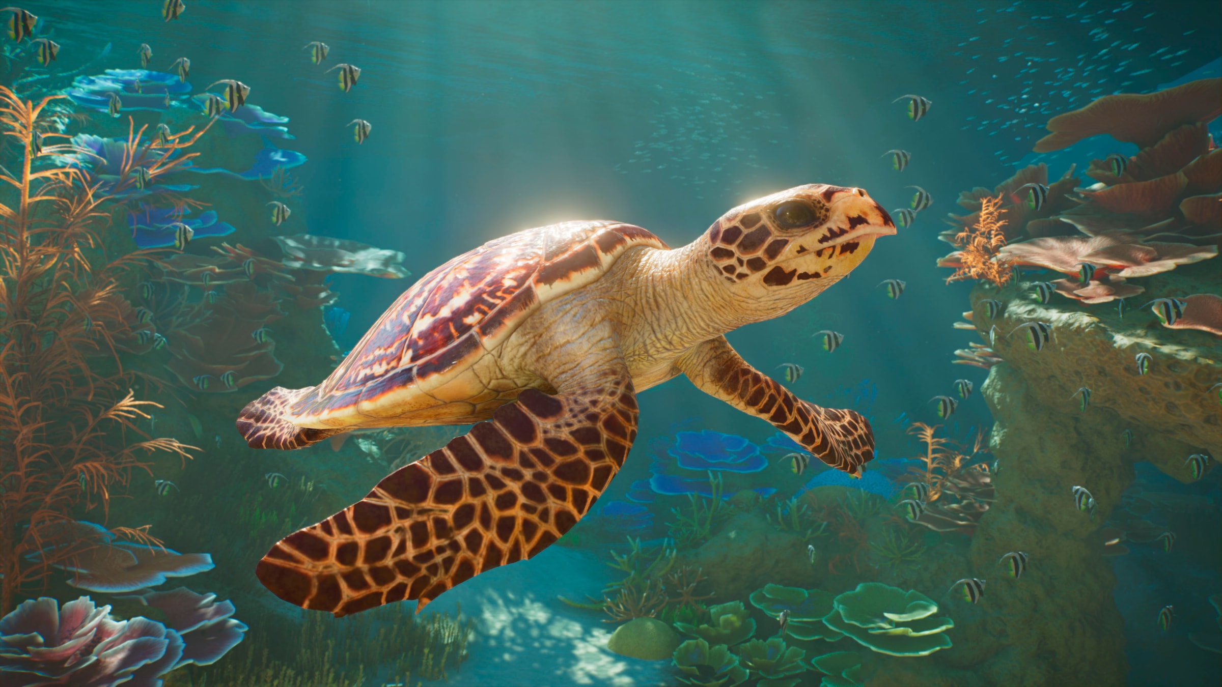 Fireshine Games Spielesoftware »Planet Zoo 2« PlayStation 5